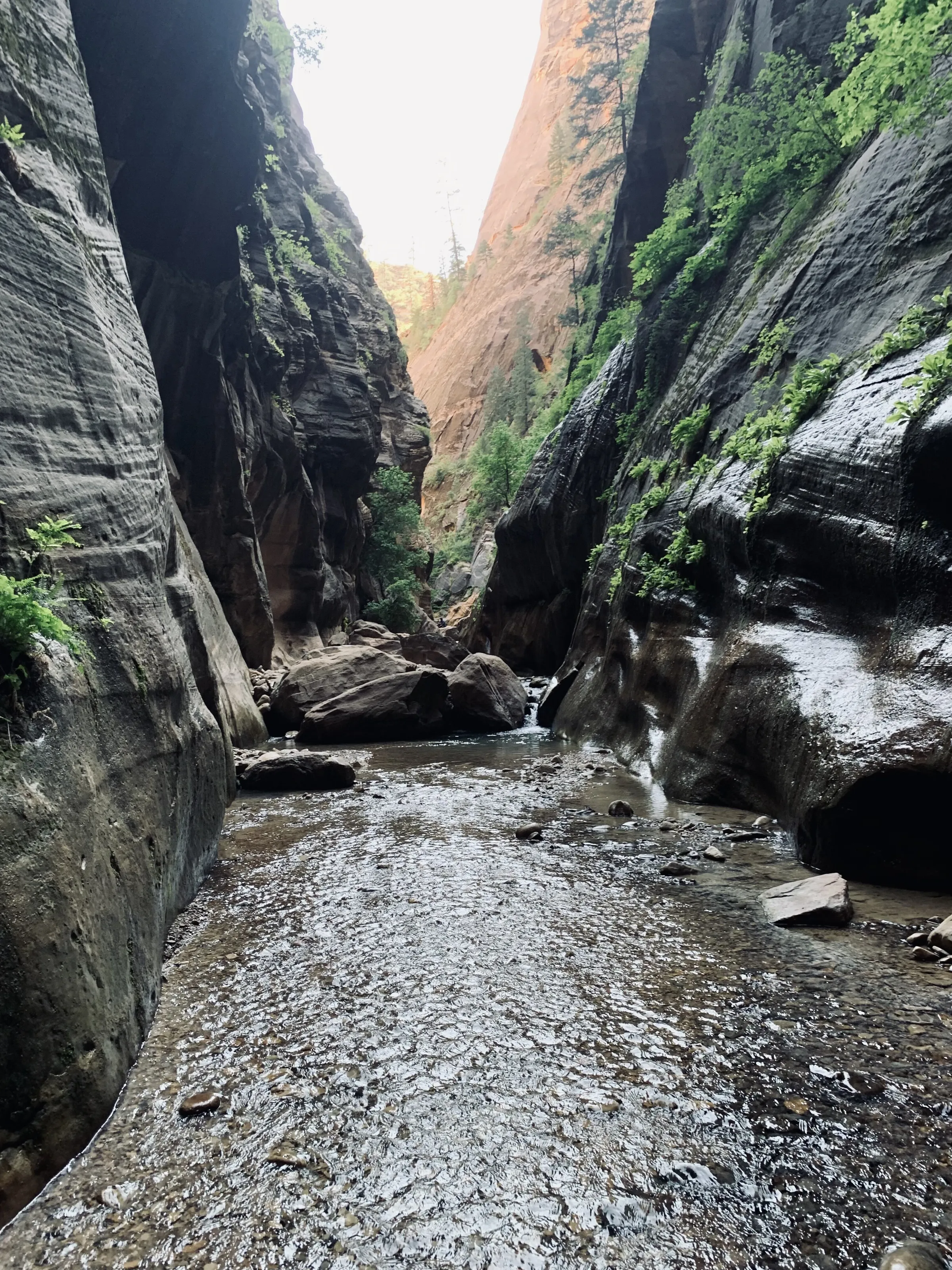 Narrow view