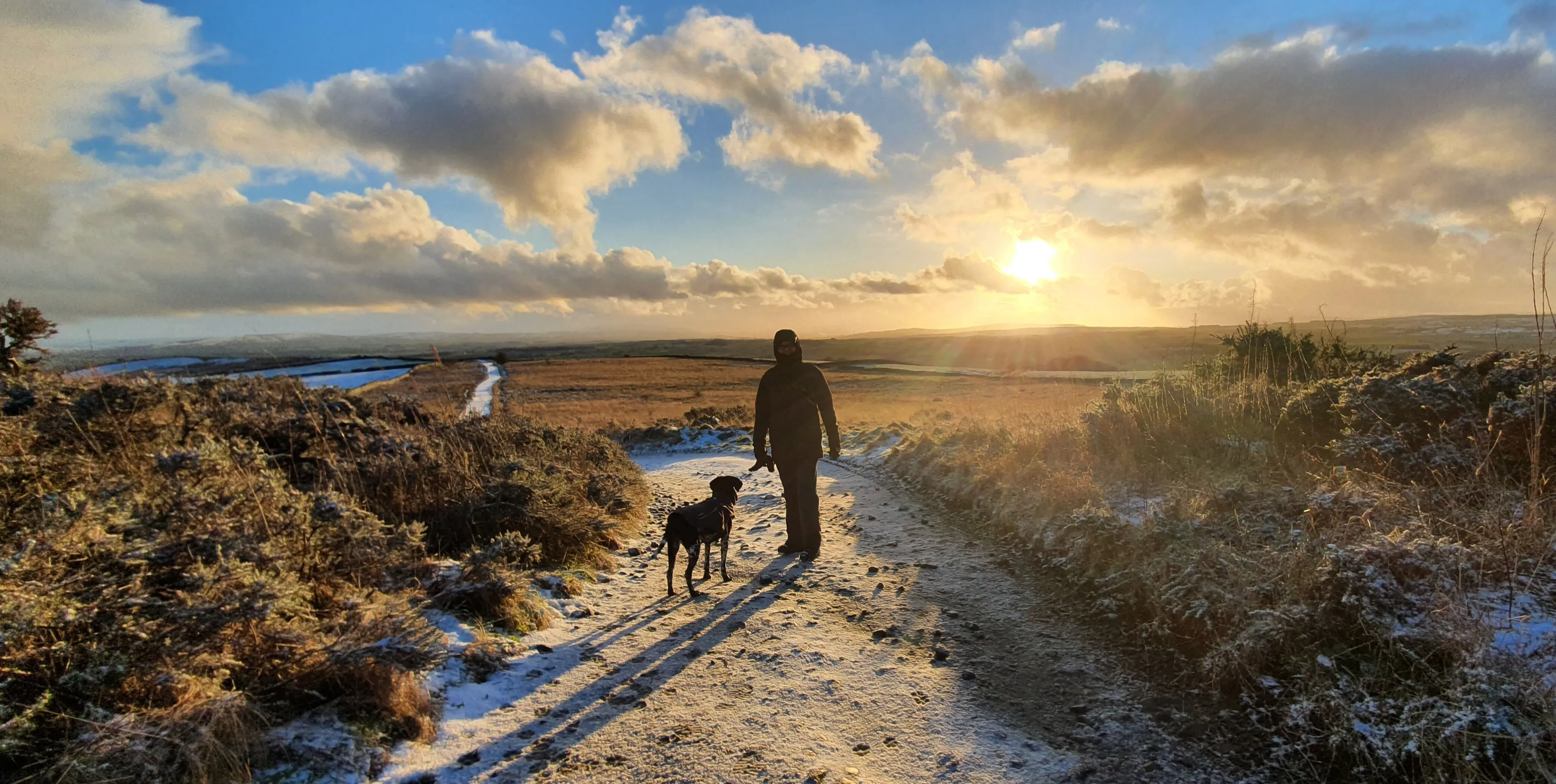 One Man and his Dog