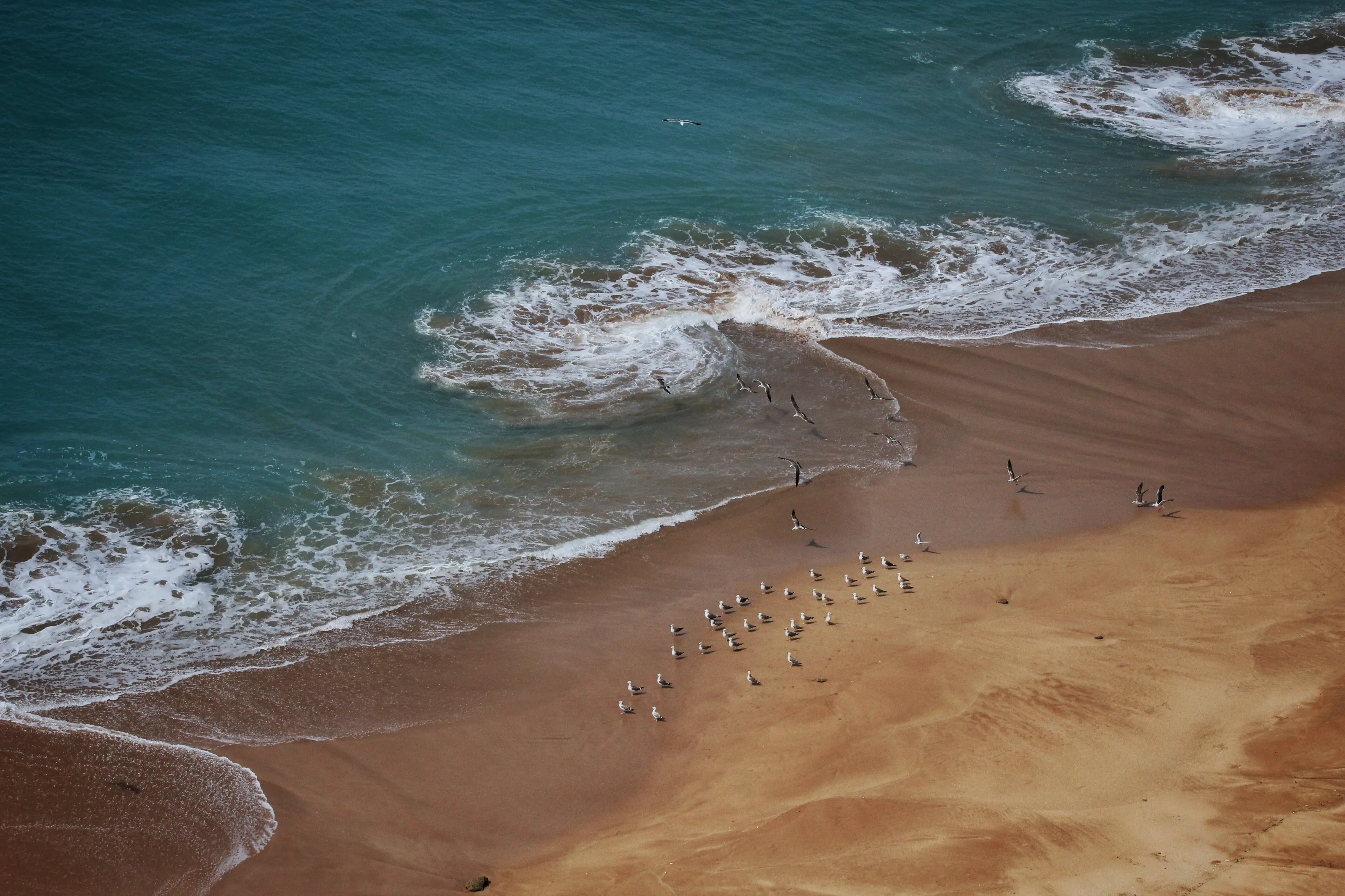 ocean
