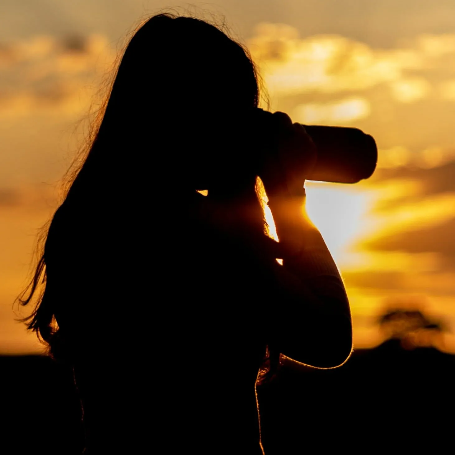 The summer solstice Photographer