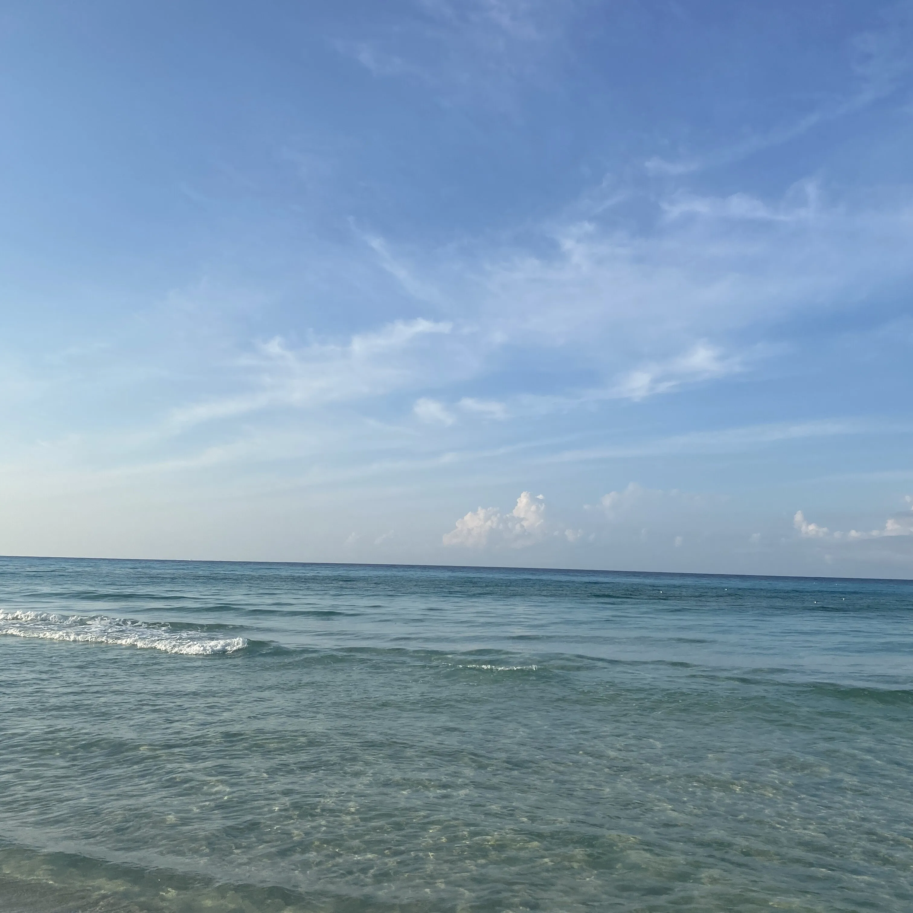 The Gulf