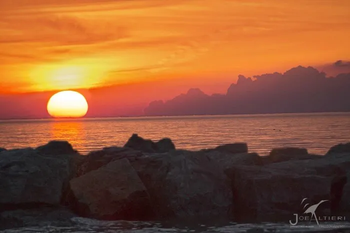 Sunscape