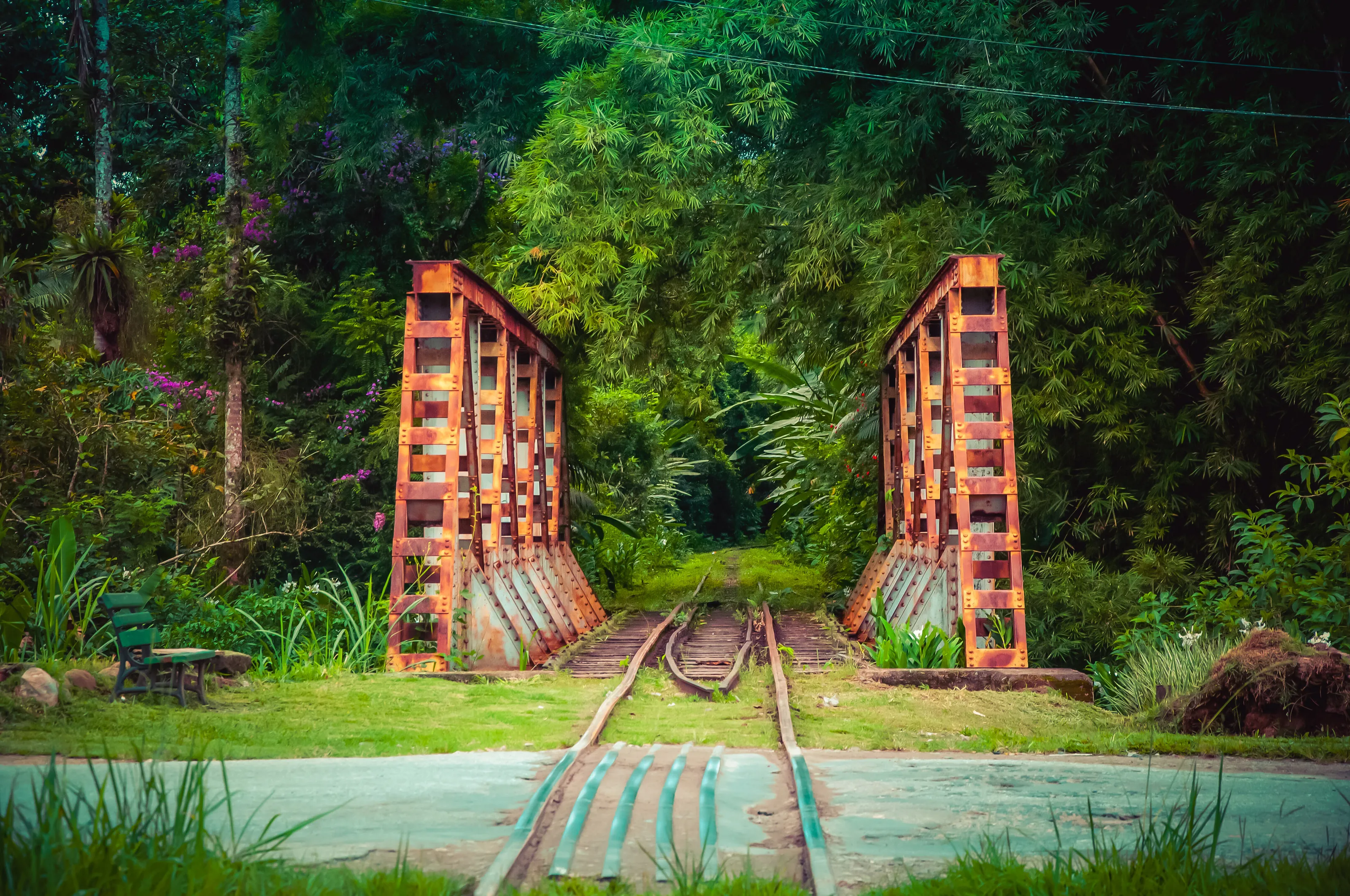 The Bridge