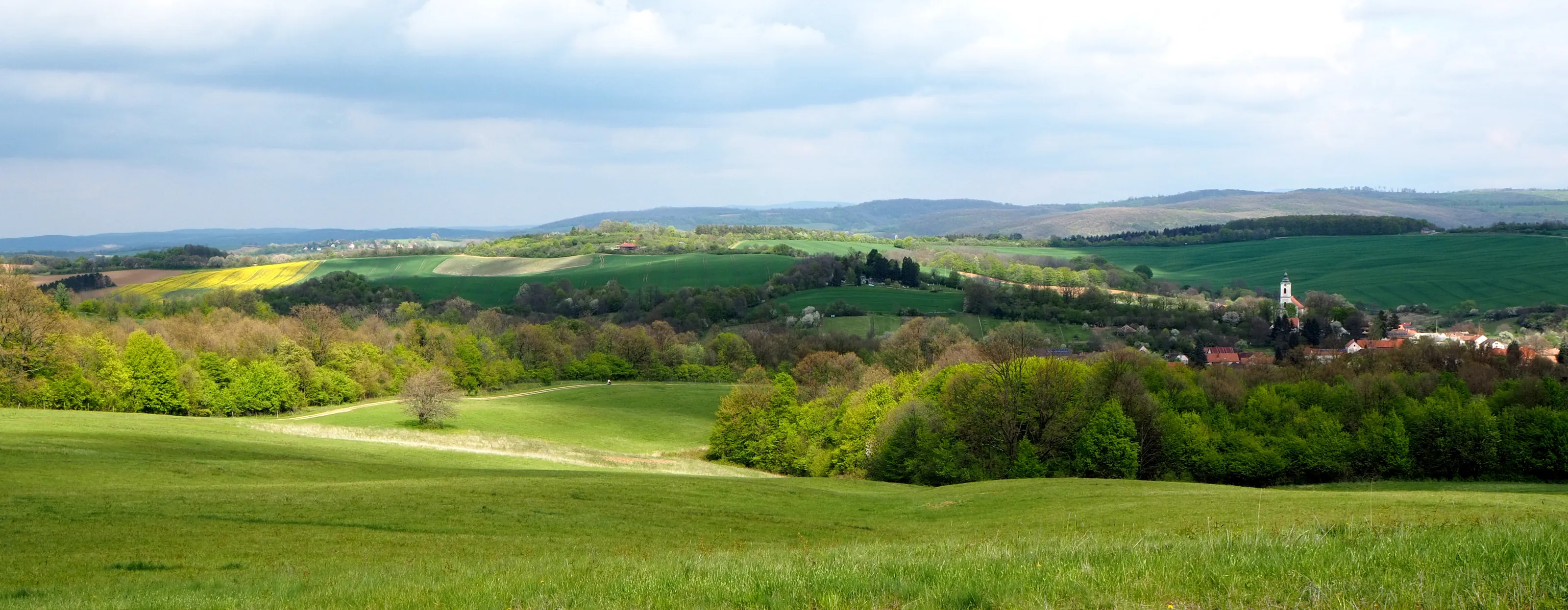 Near Abaliget
