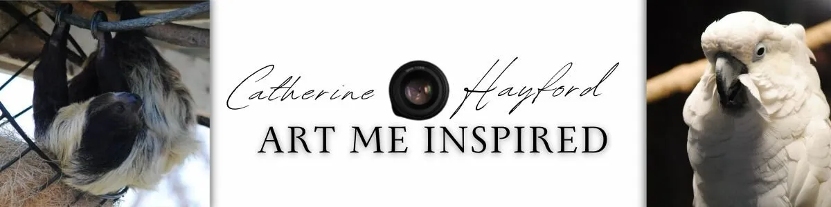 My Logo Cover