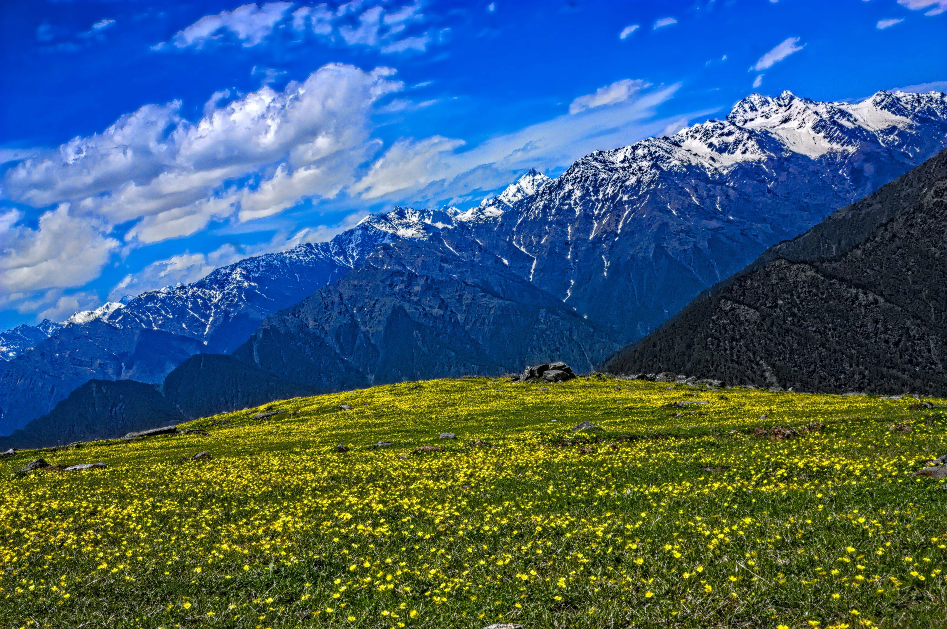 Himalyan Range