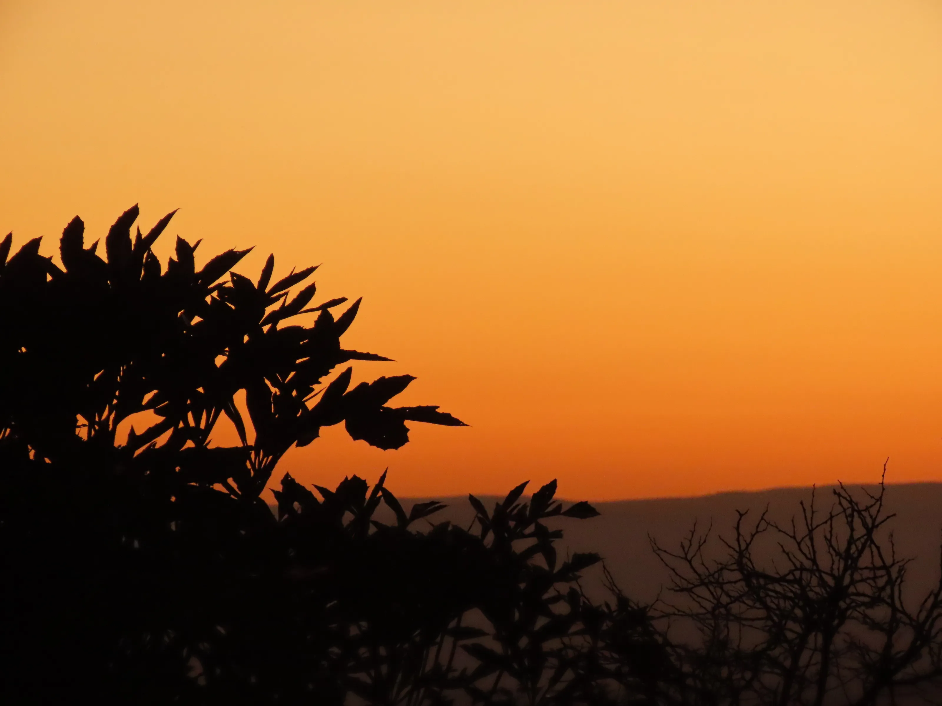 African Sunrise