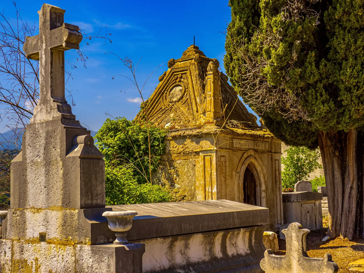 Entry 20829335
