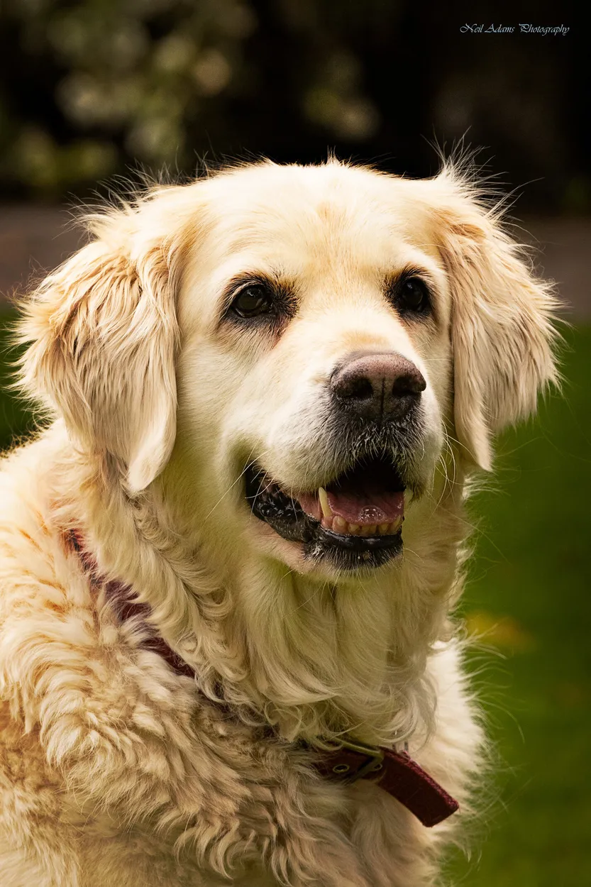 Entry 15044450