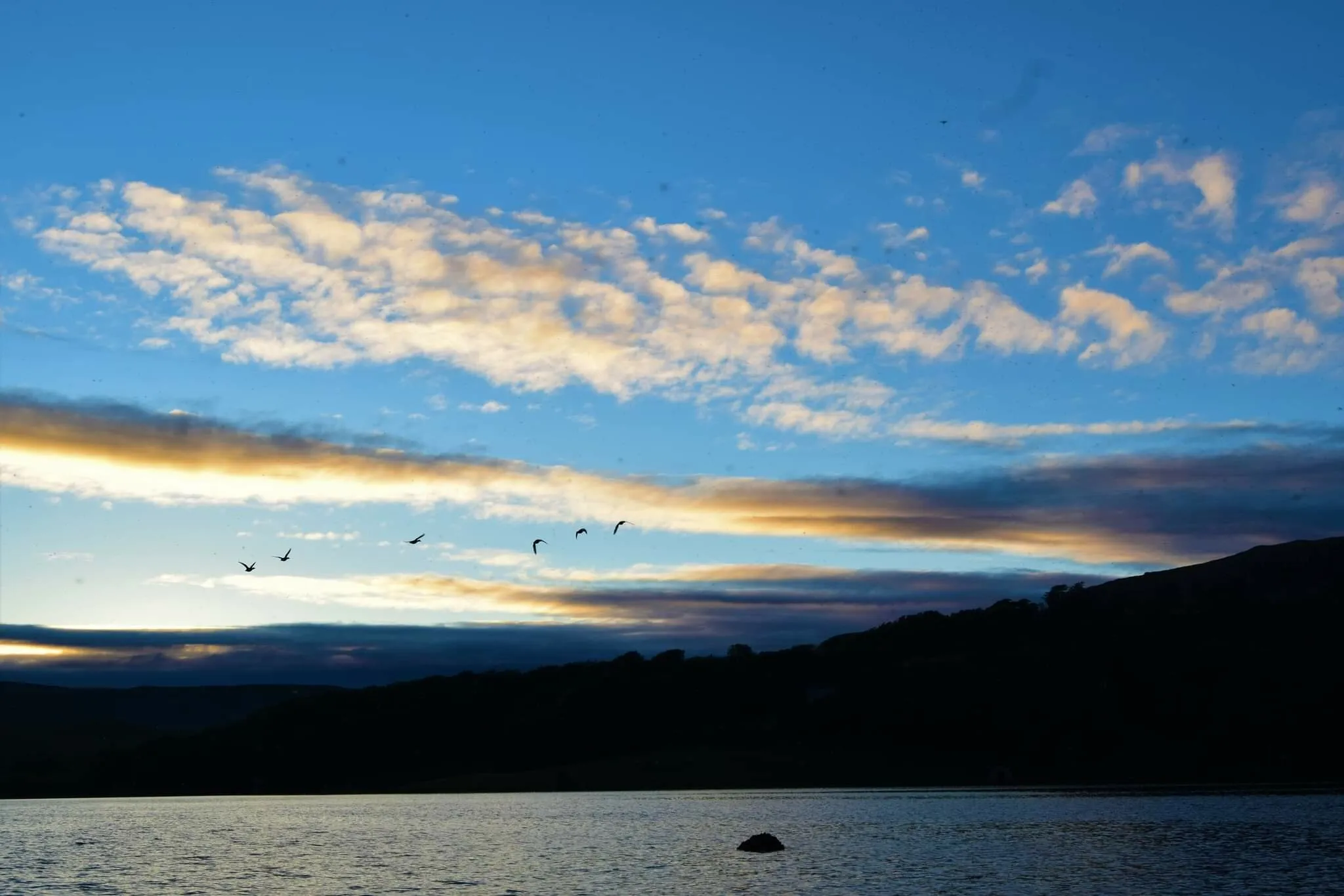 Fly past