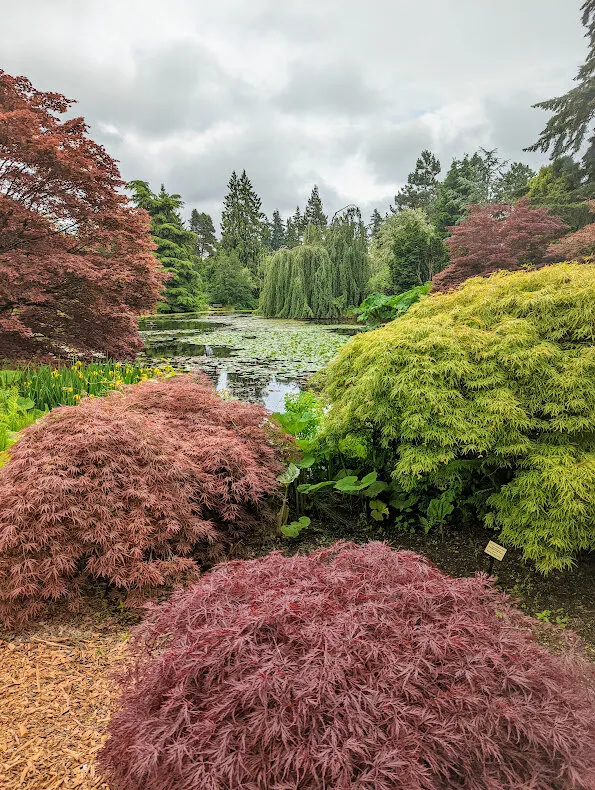 Vandusen Gardens