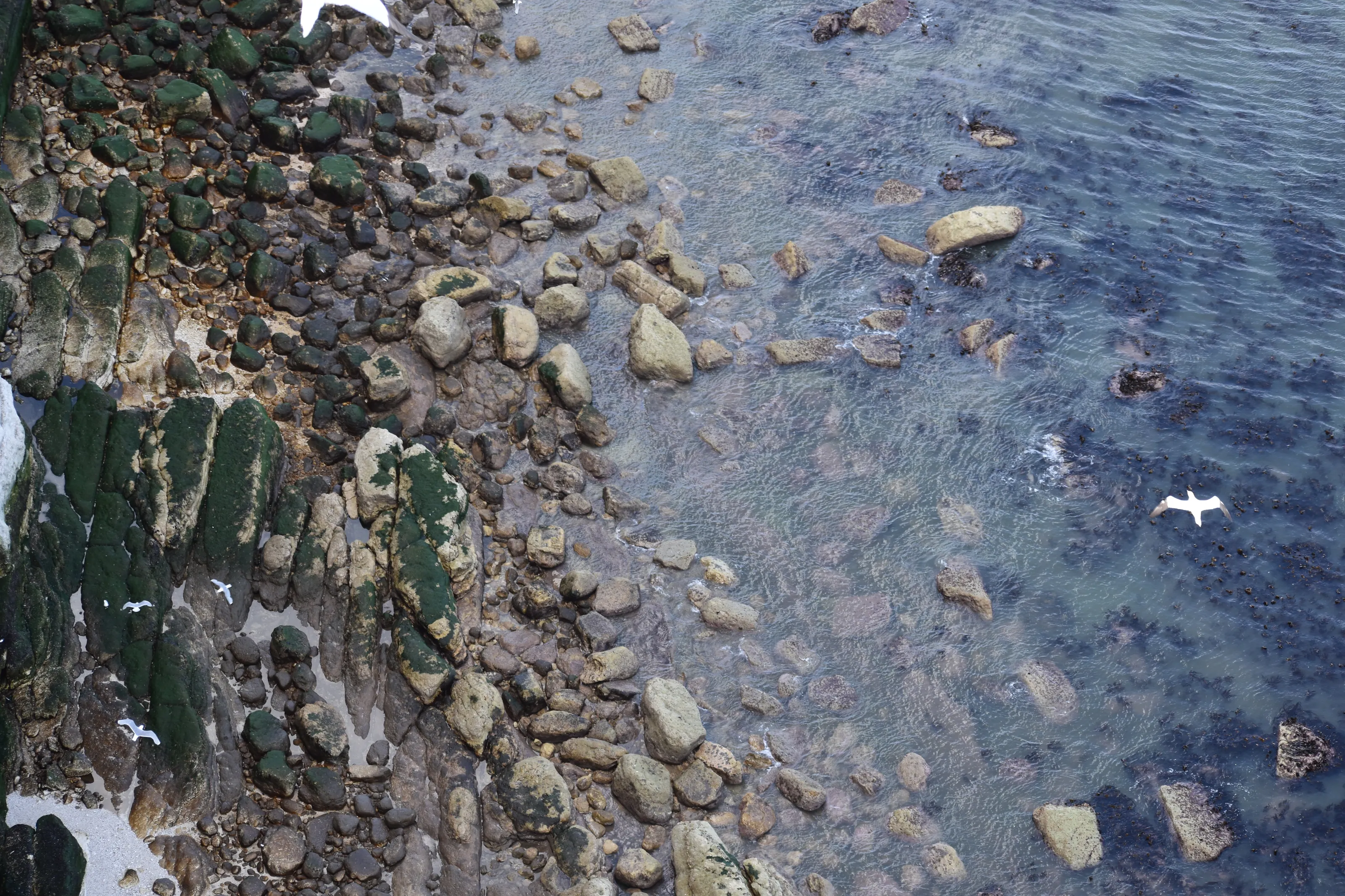 Rocky Waters