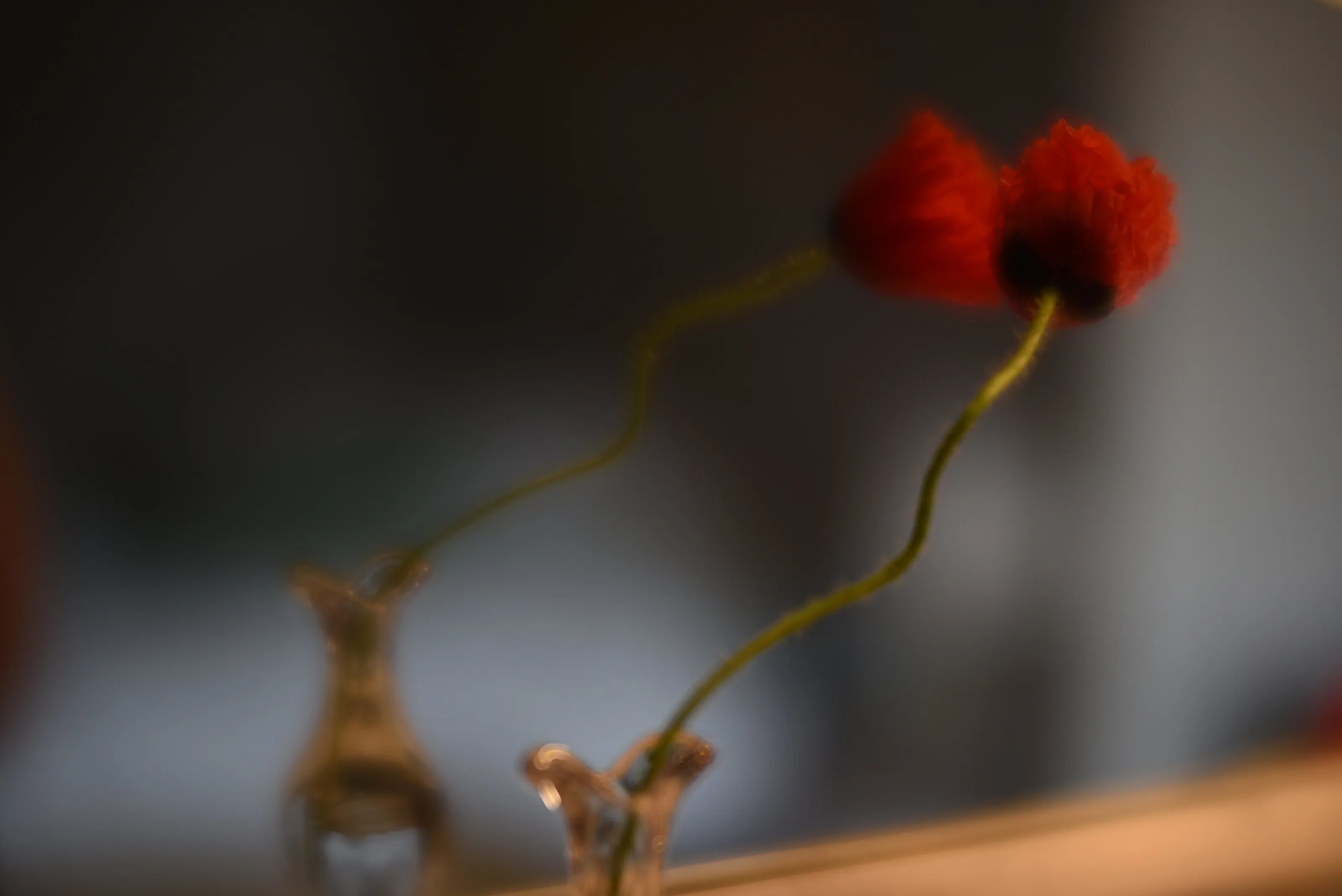 the kiss