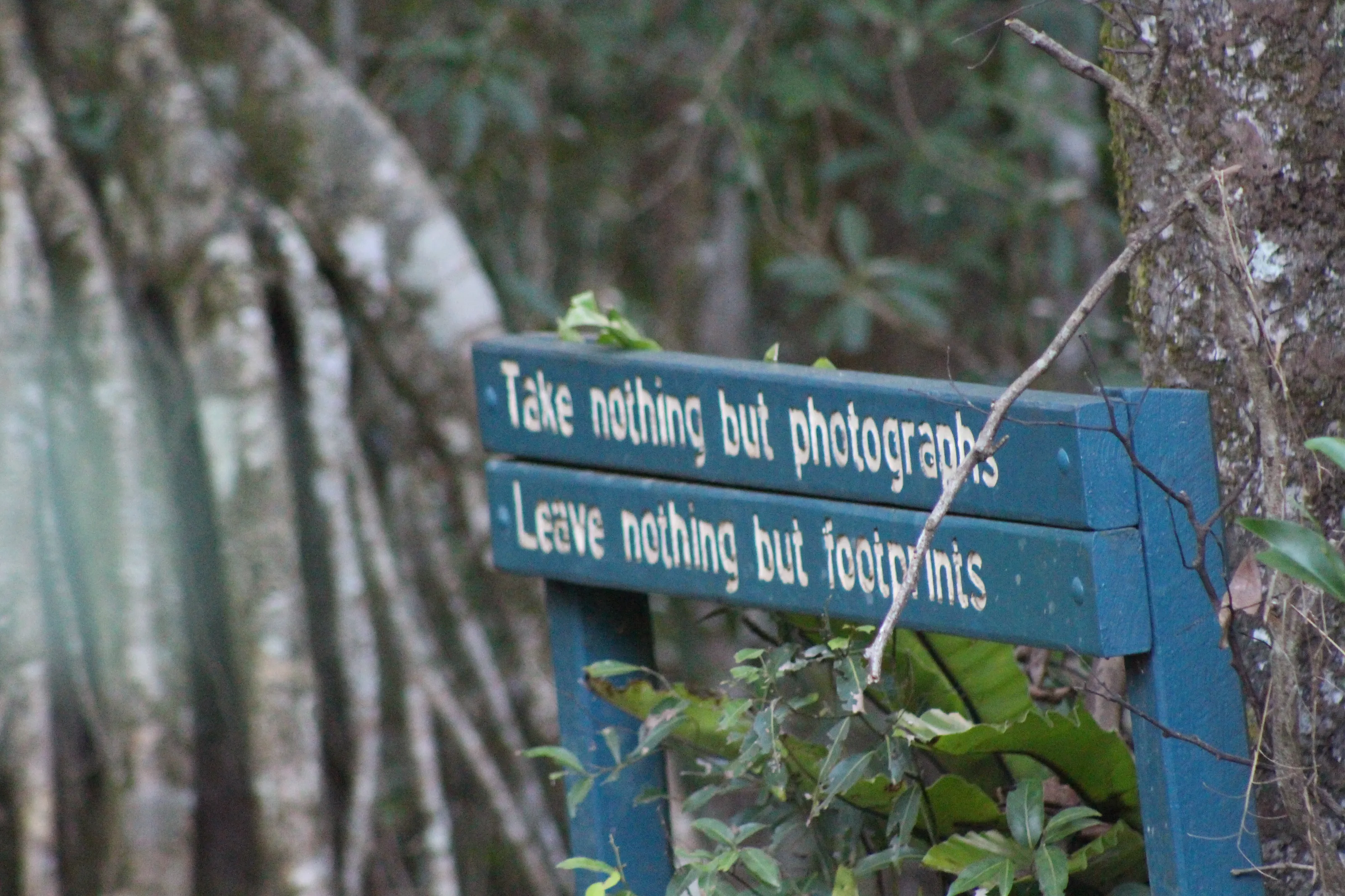 A photographers motto