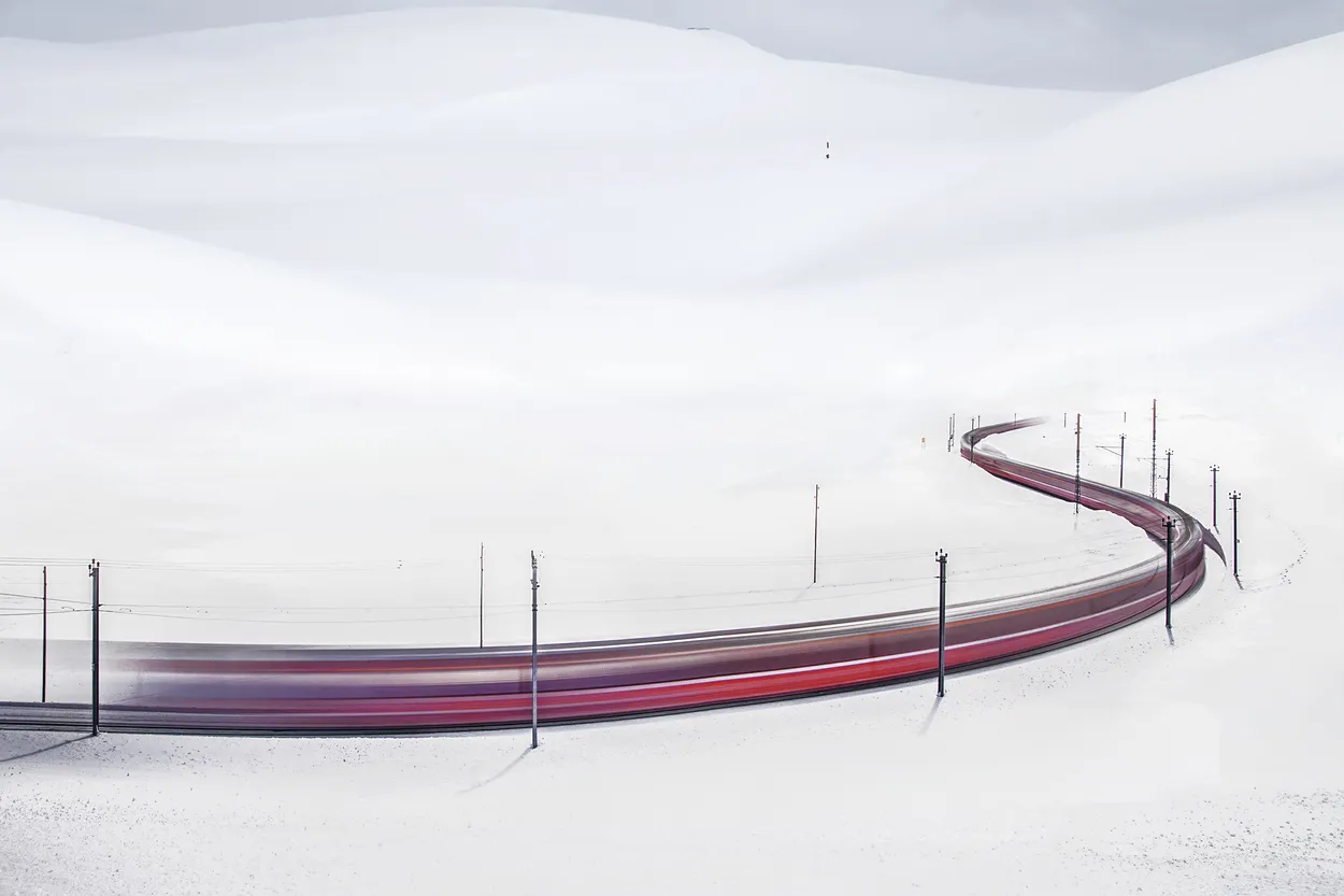 red snake