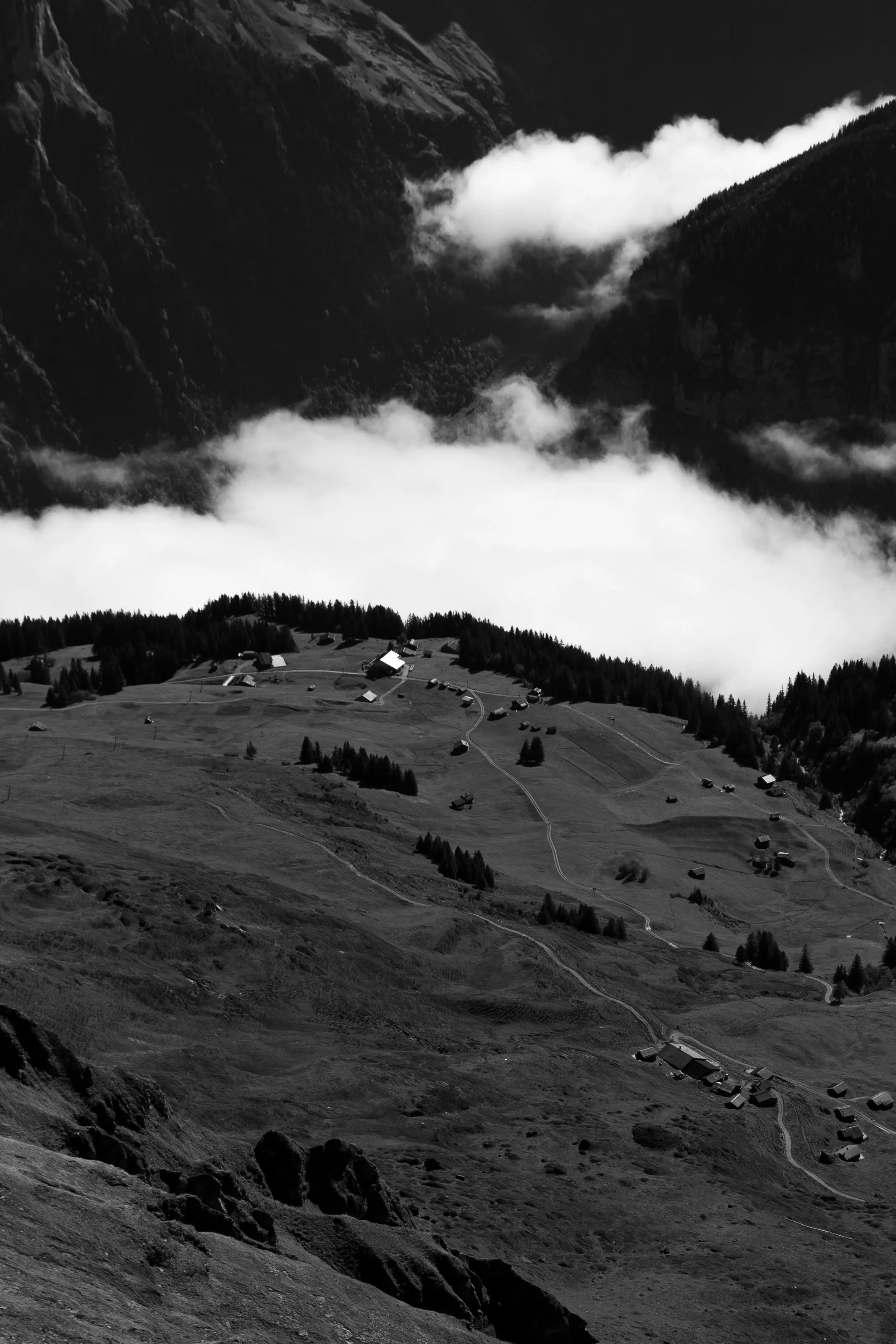 Evocative Nature
