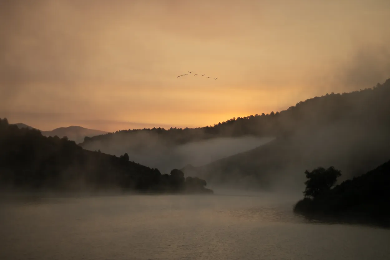 Entry 13342695