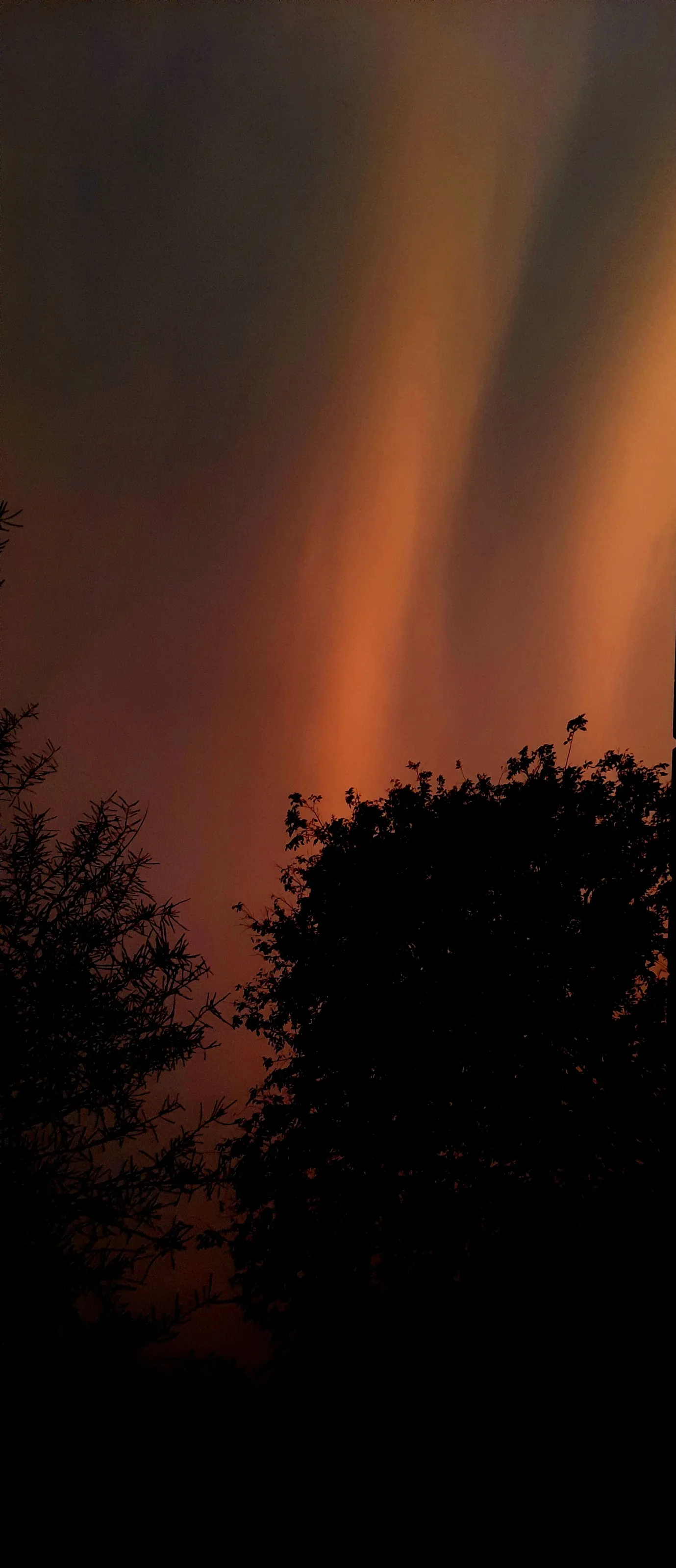 #orange night sky ✨️