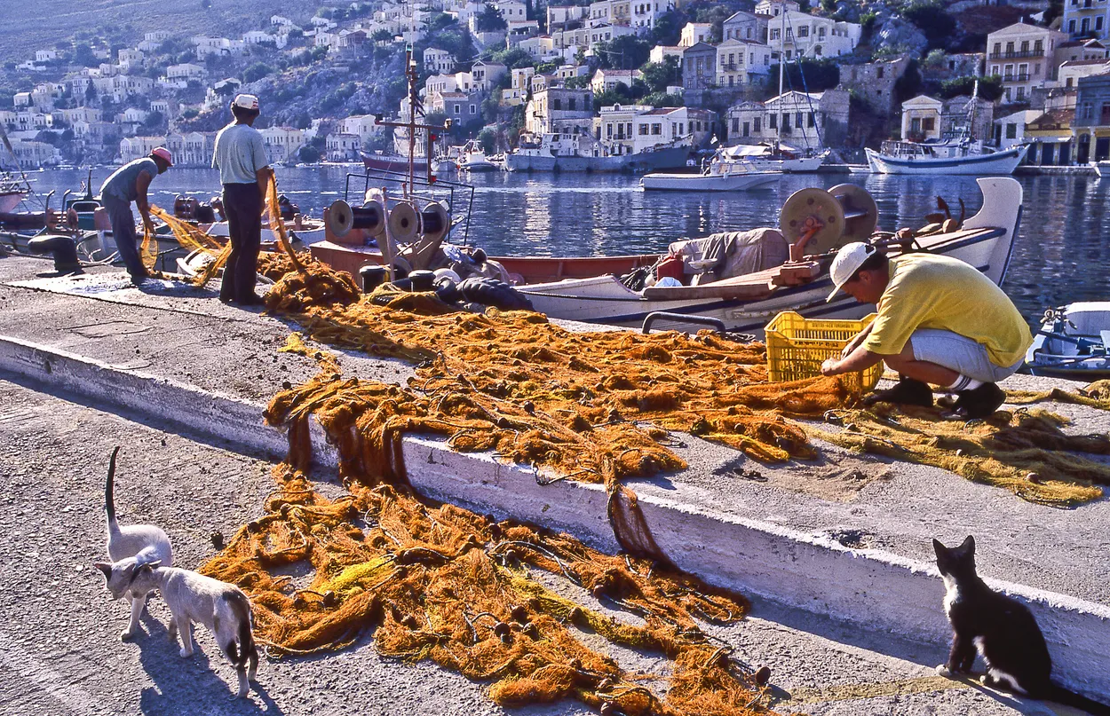 Early morning activity, Symi harbour
