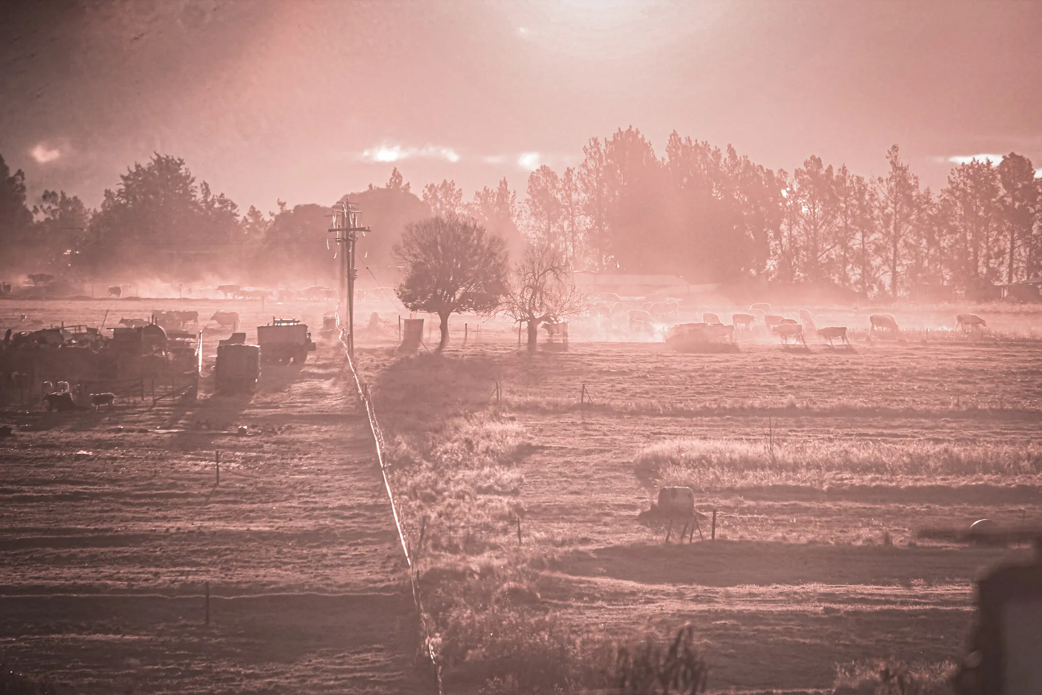 Sunset on Farm