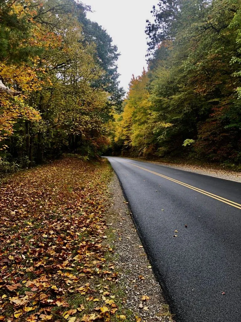 My Highway to Heaven