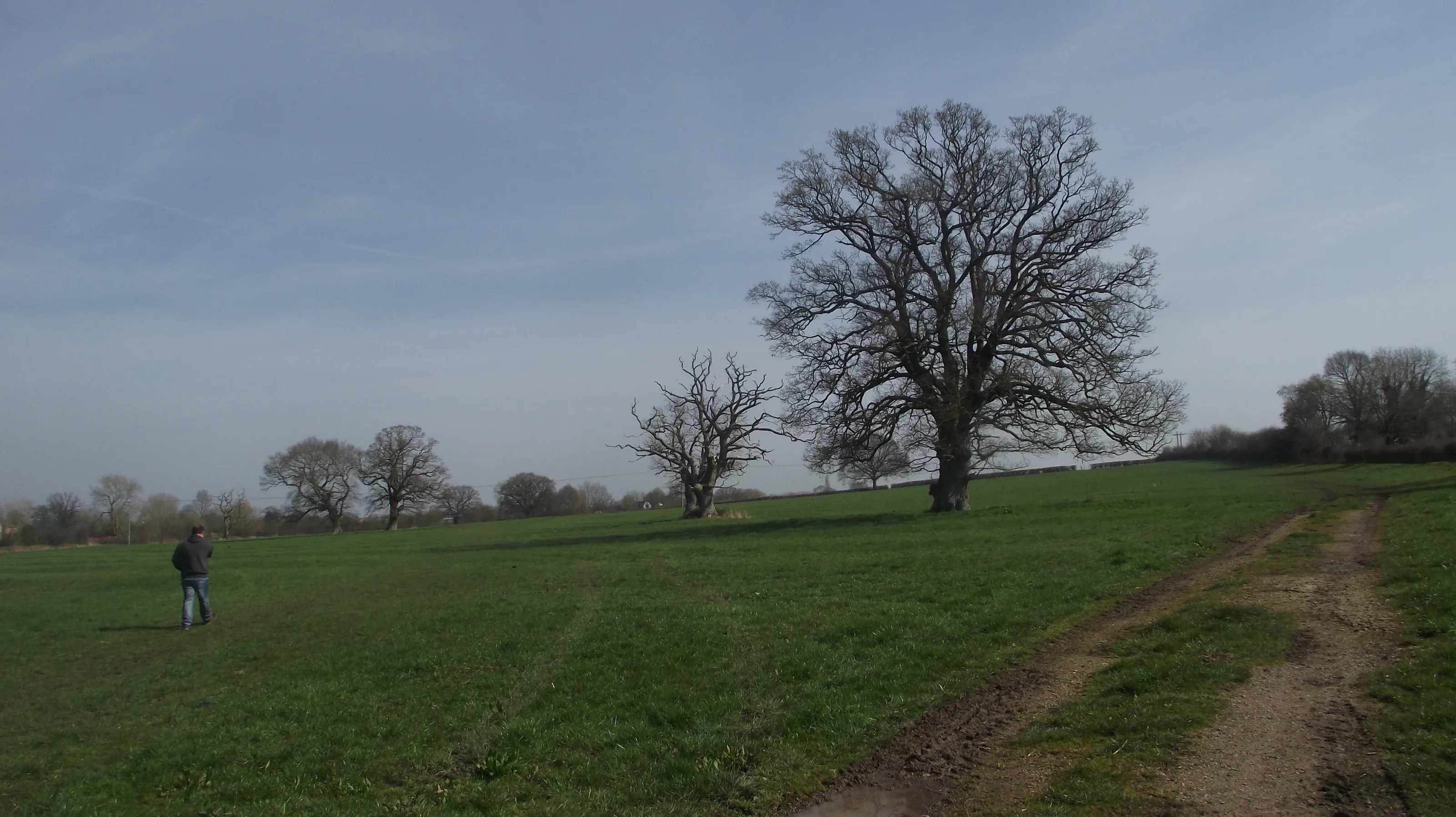 countryside