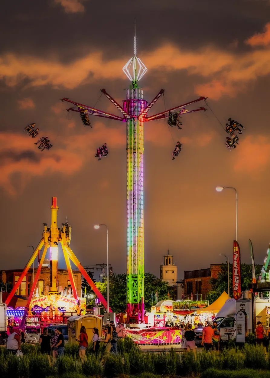 Entry 20497946