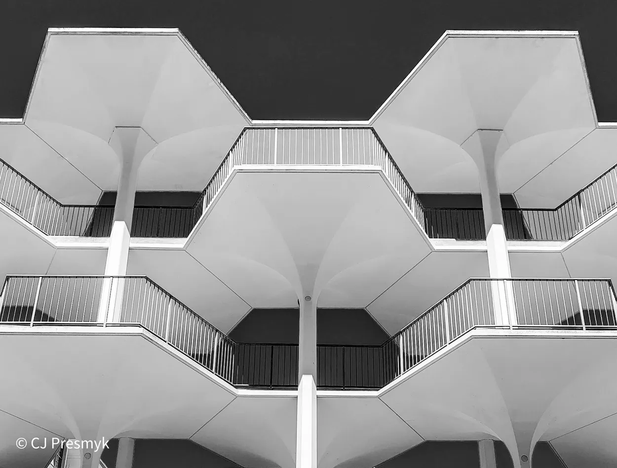 Entry 19241009