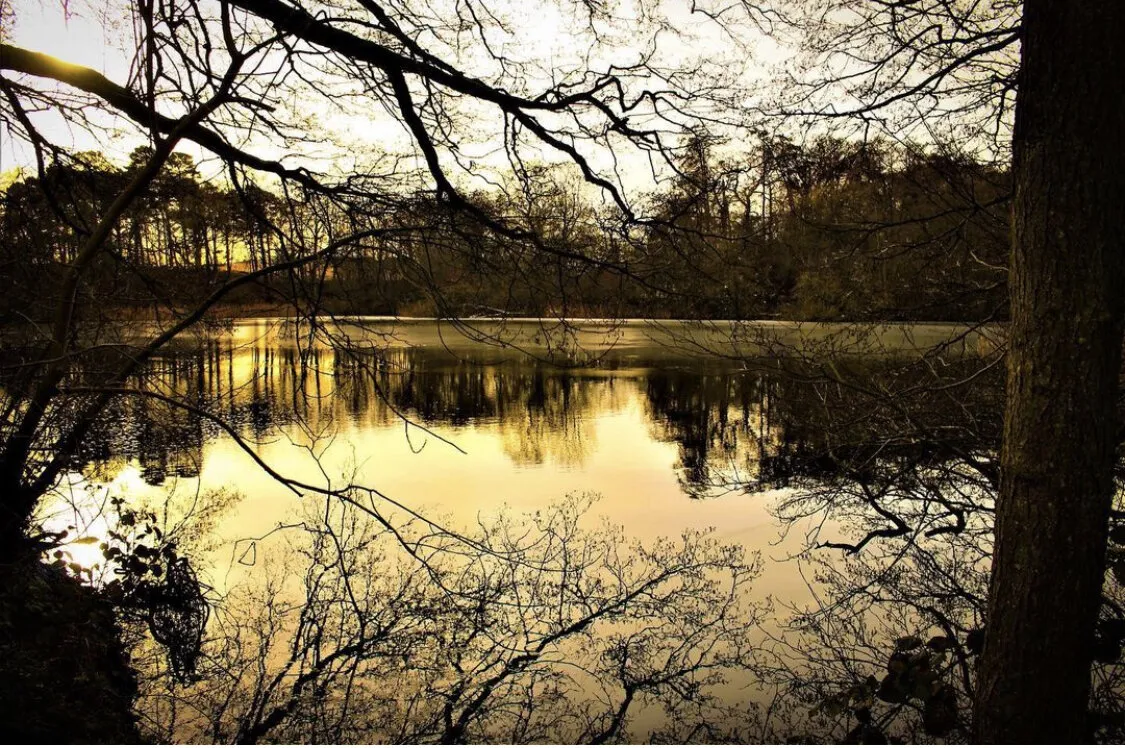 Golden lake