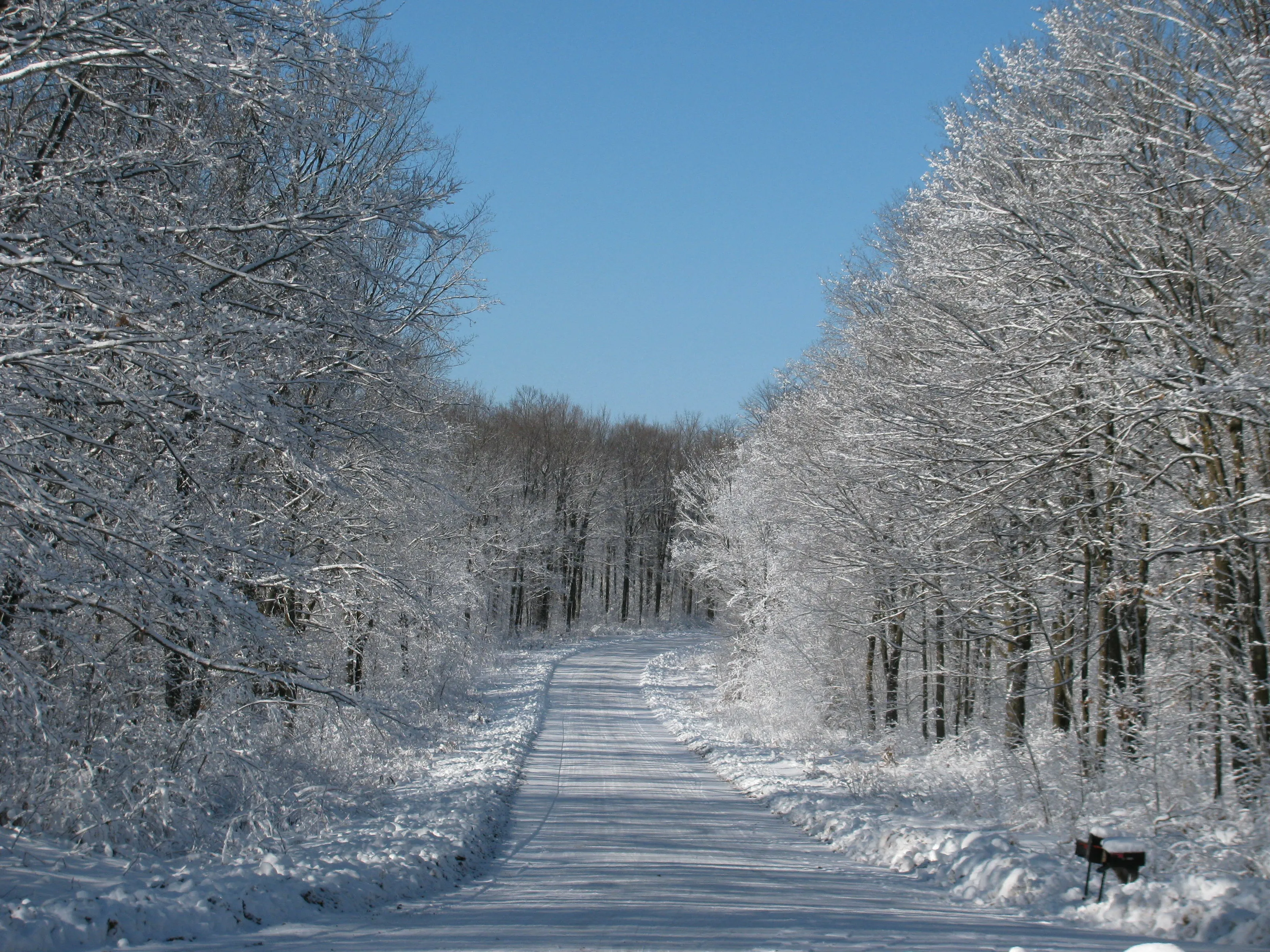 Snowy Road