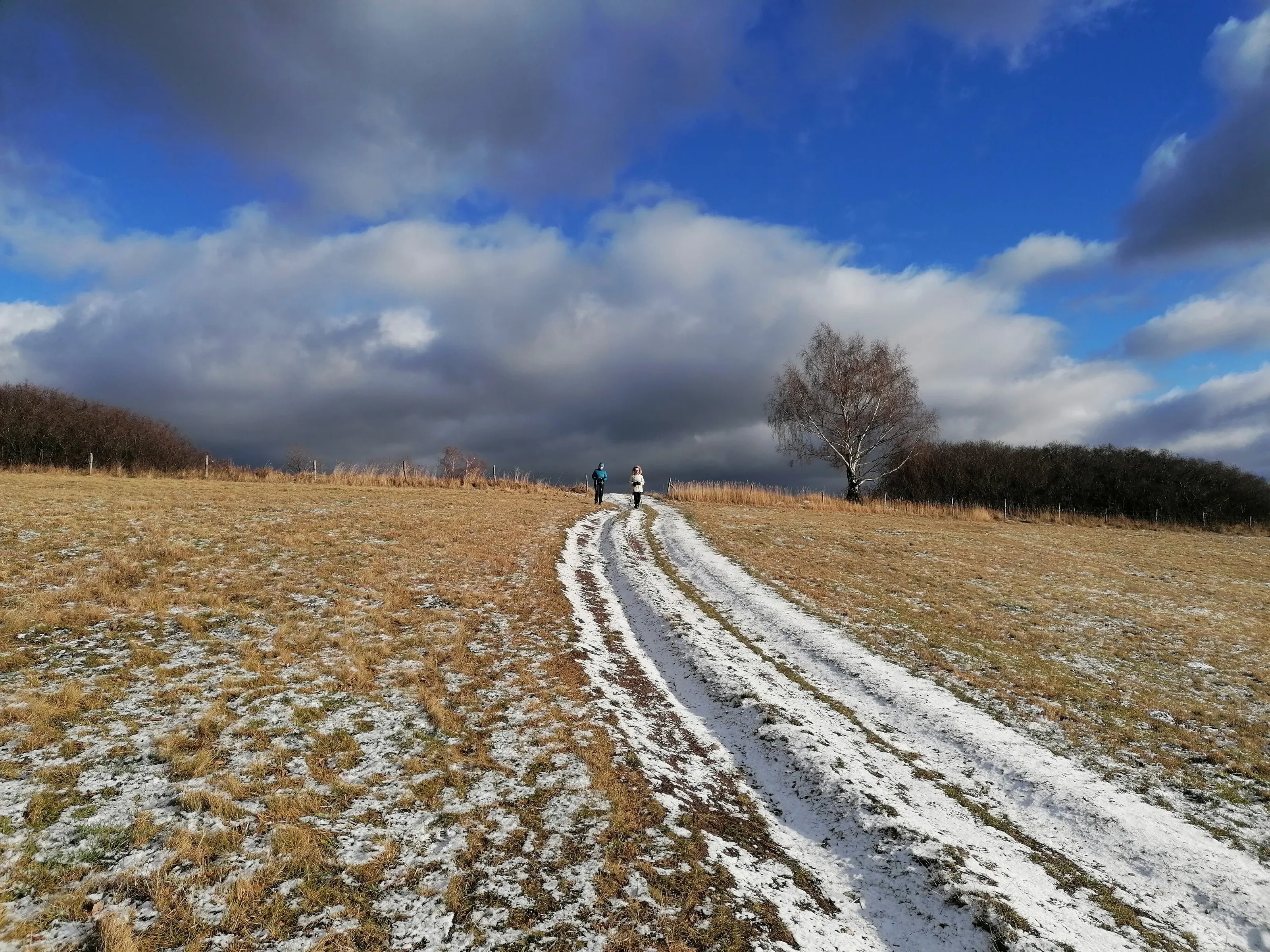 Walk in the clouds