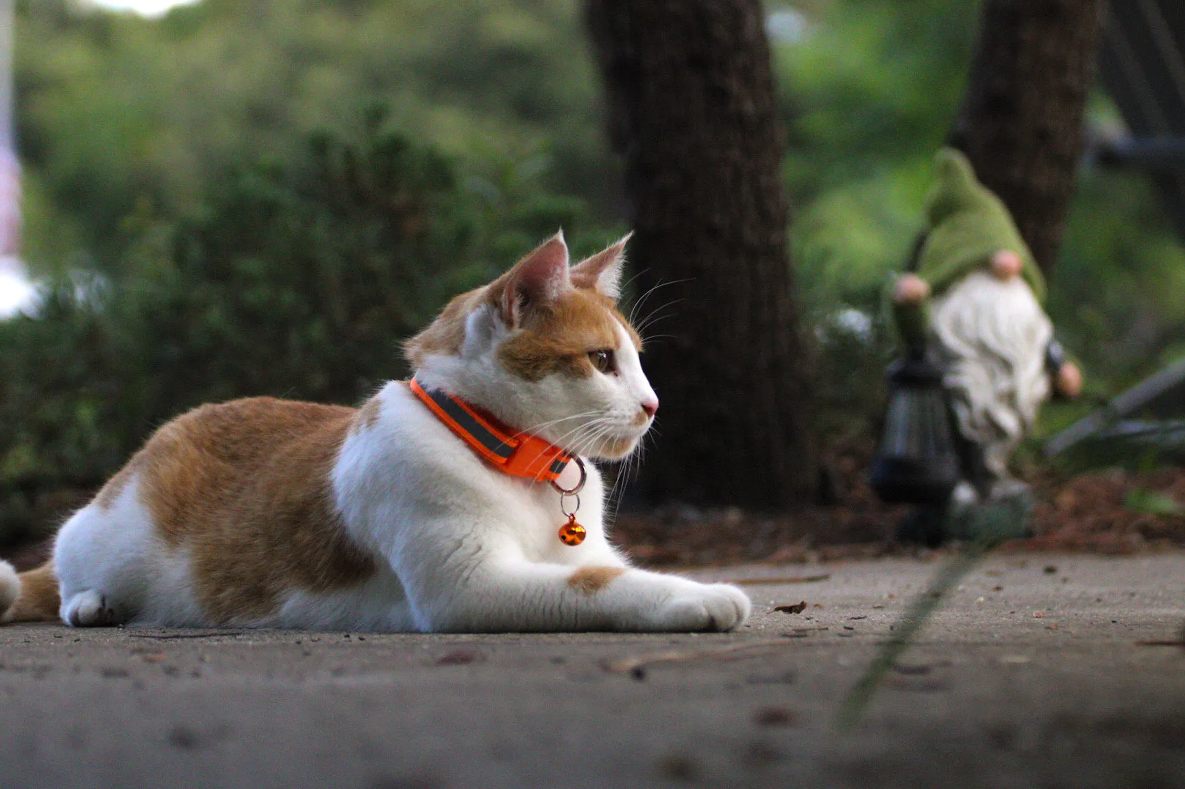 Relaxing in the evening