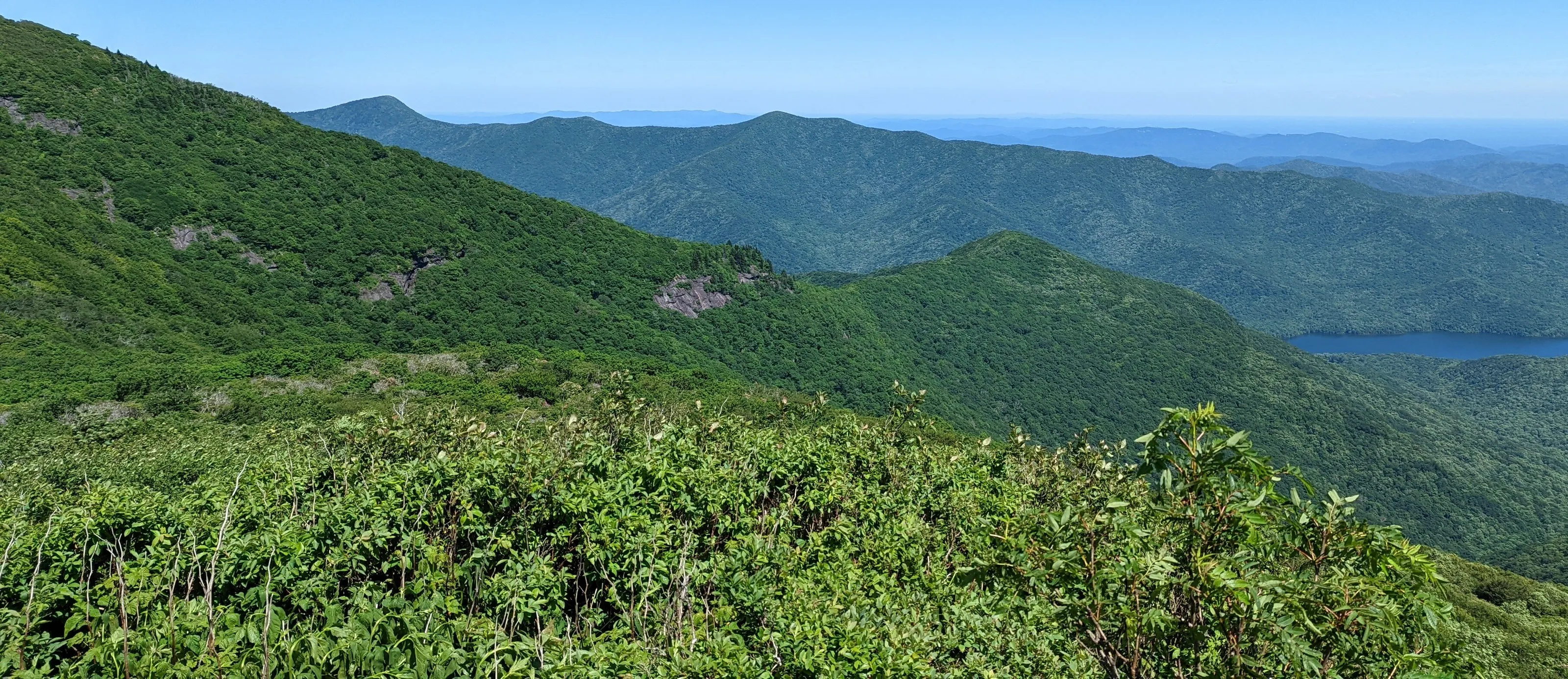 Summer View of the Blue Ridge from Craggy Gardens