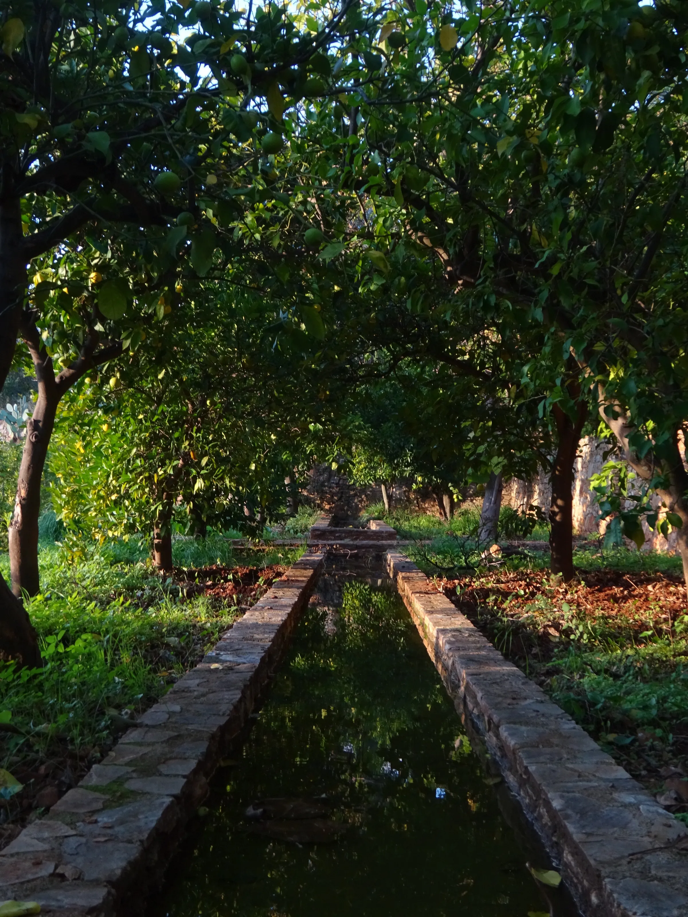 garden of eden