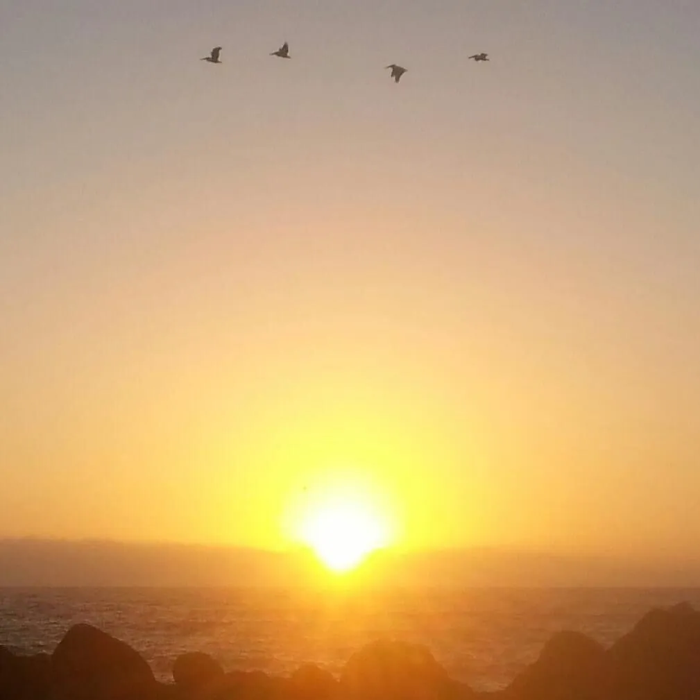 California Calm