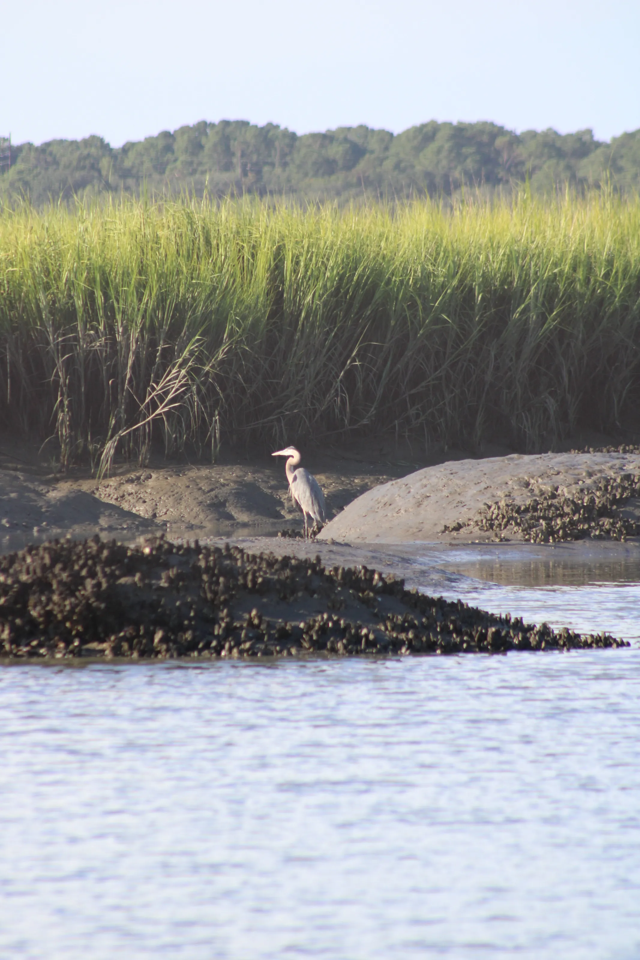 Still