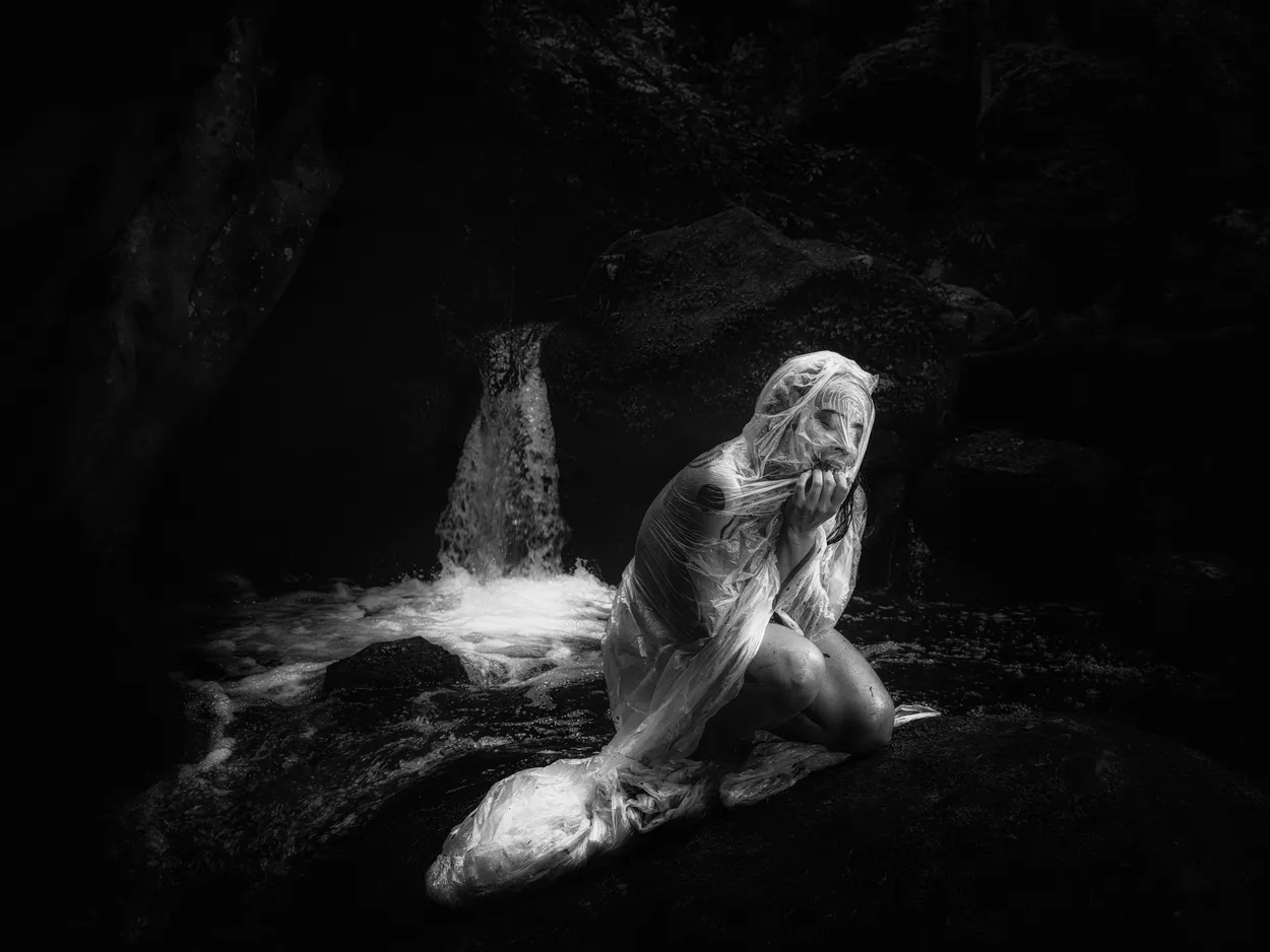 Entry 18236191