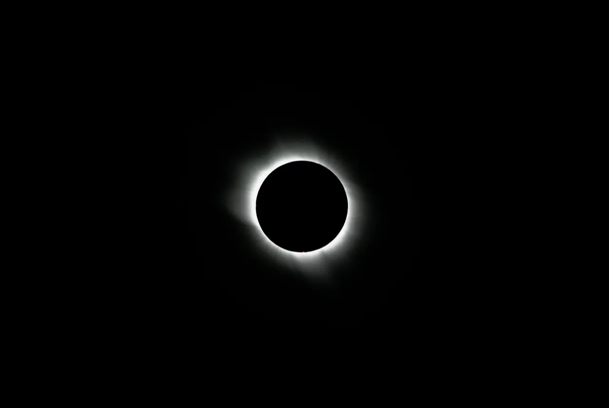 Entry 15403423
