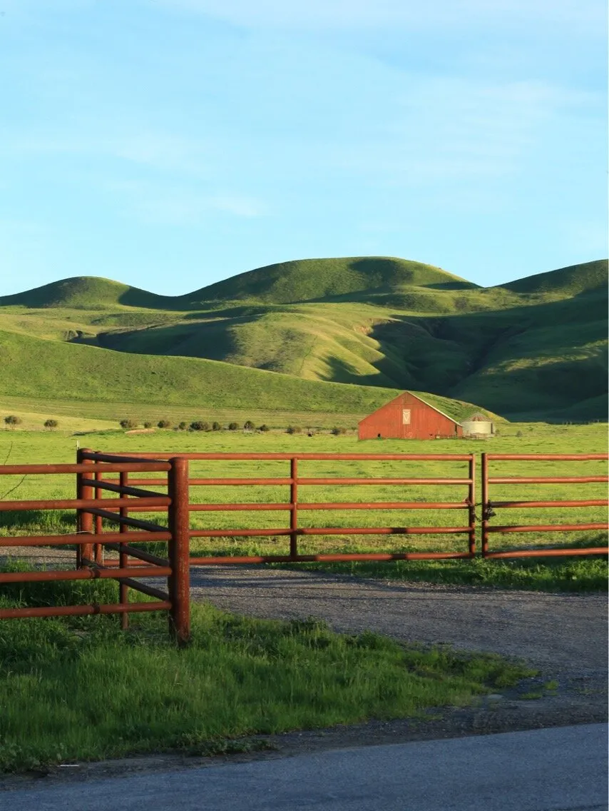 Grazing hills