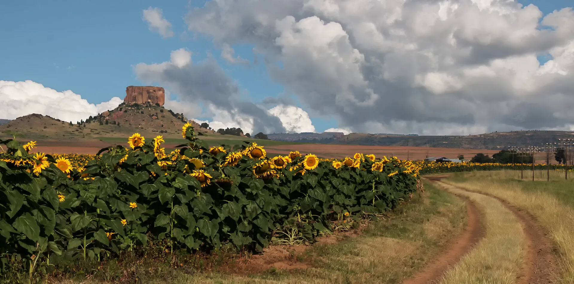 Rural Farm