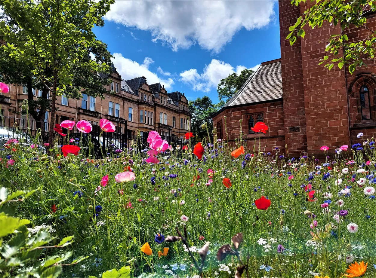 Entry 20312911