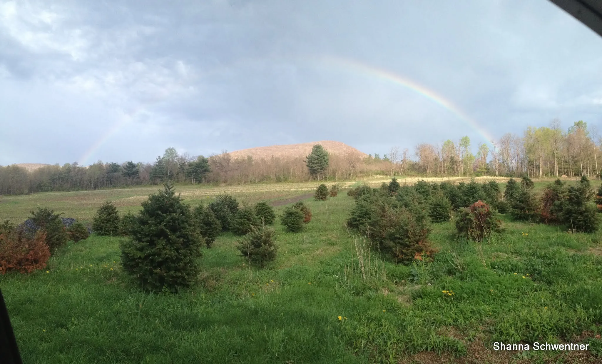 Rainbow of Hope