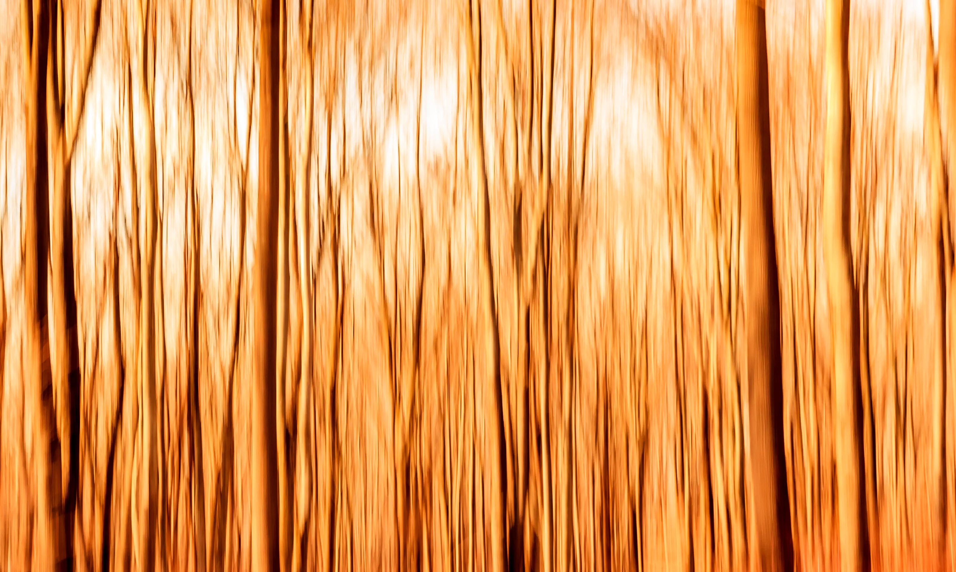 Abstract Nature