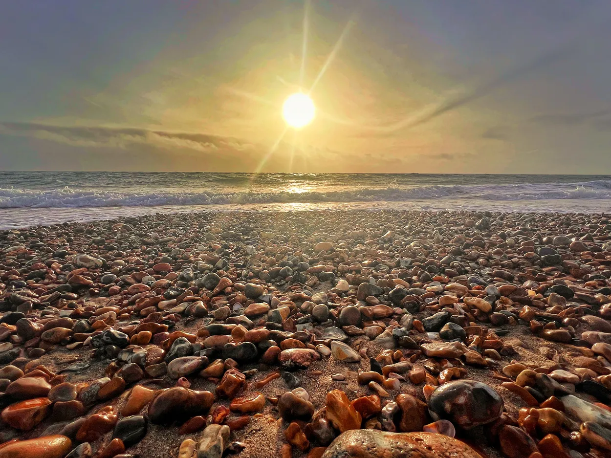 Entry 27975707