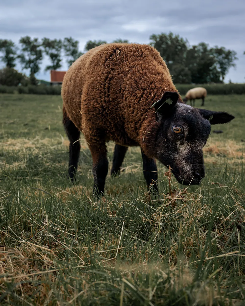 Entry 13432508