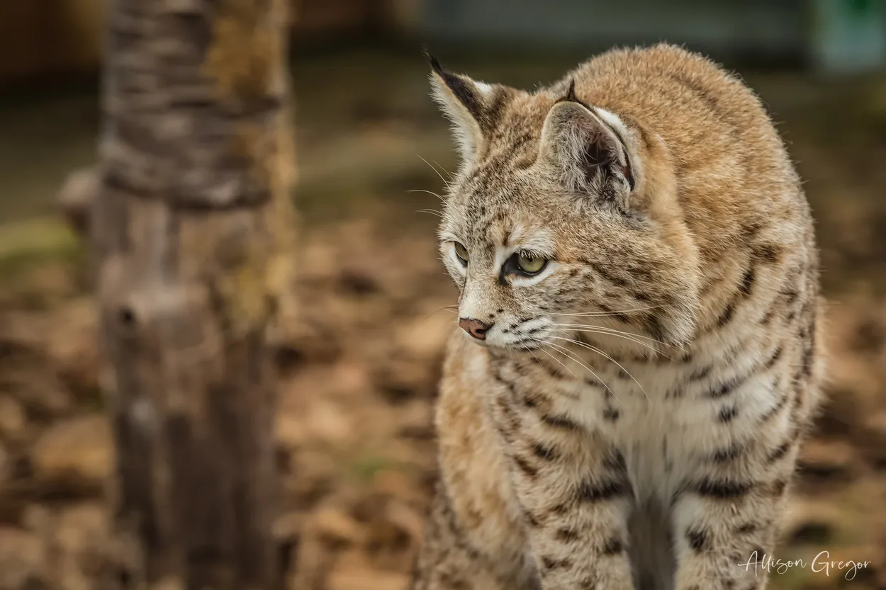 Entry 16755832