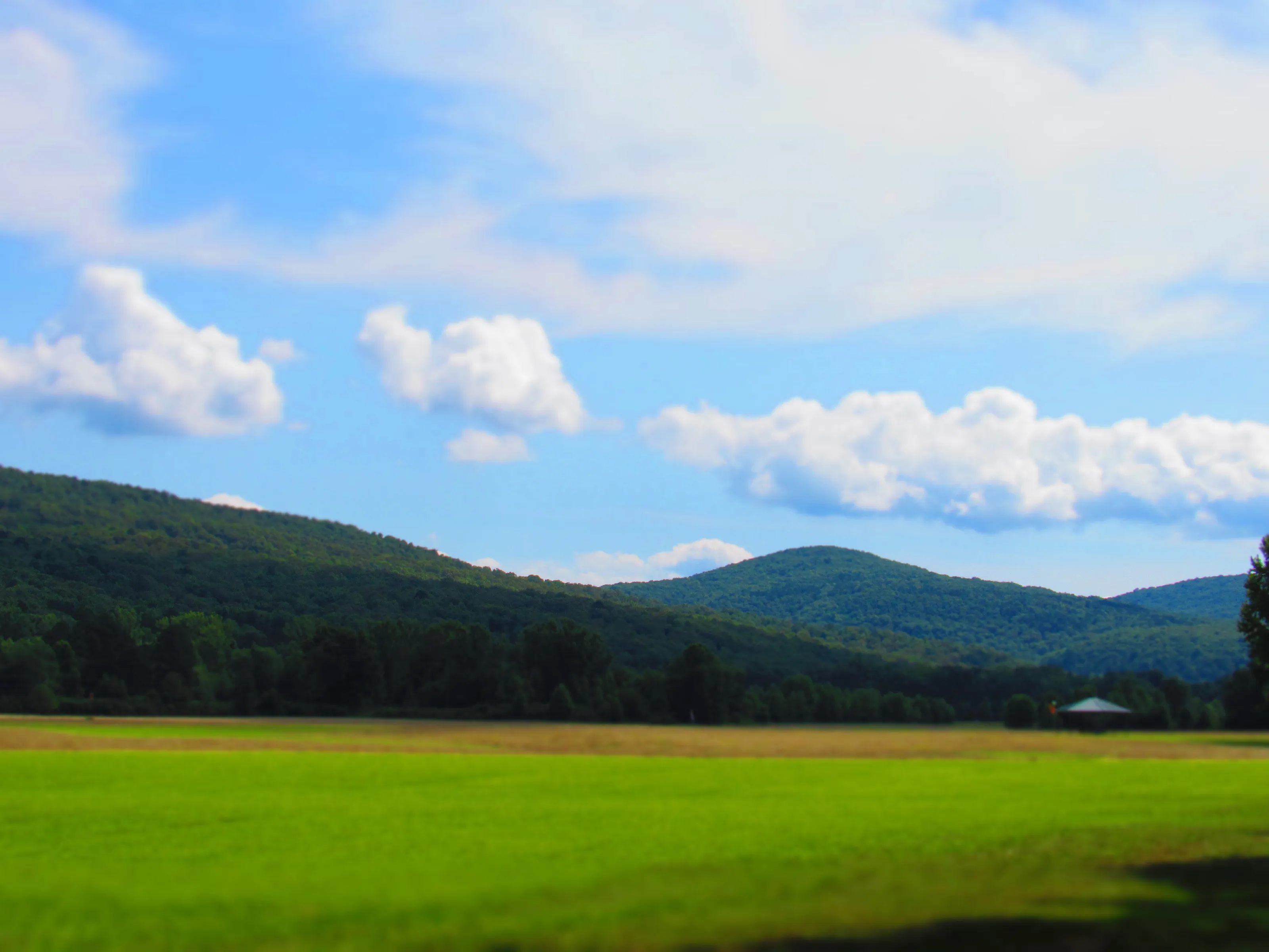 Banner image
