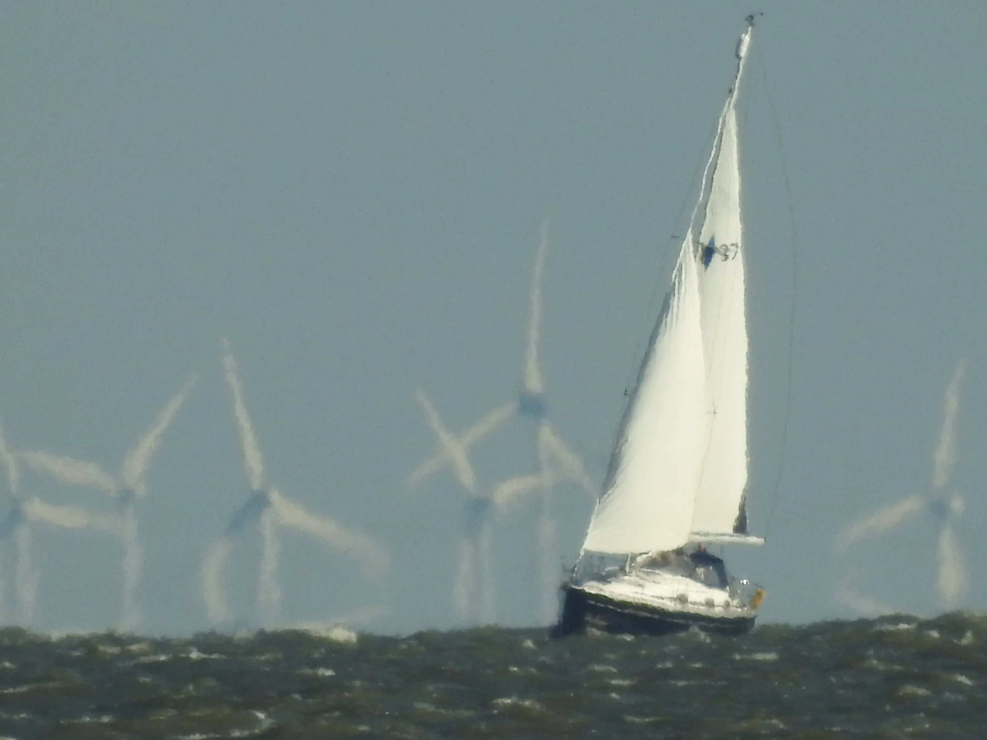 Sailboat in the Netherlands