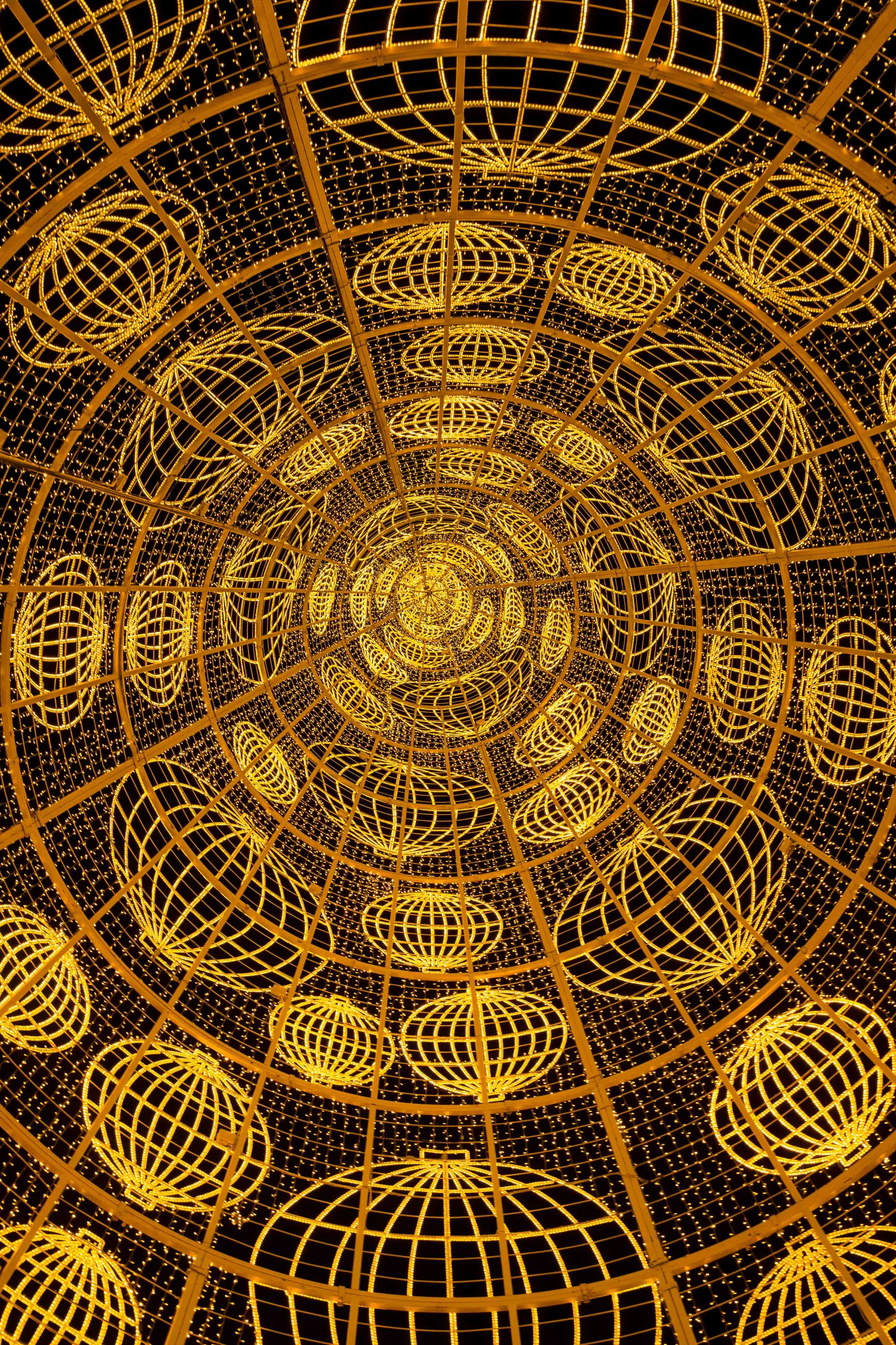 light tree