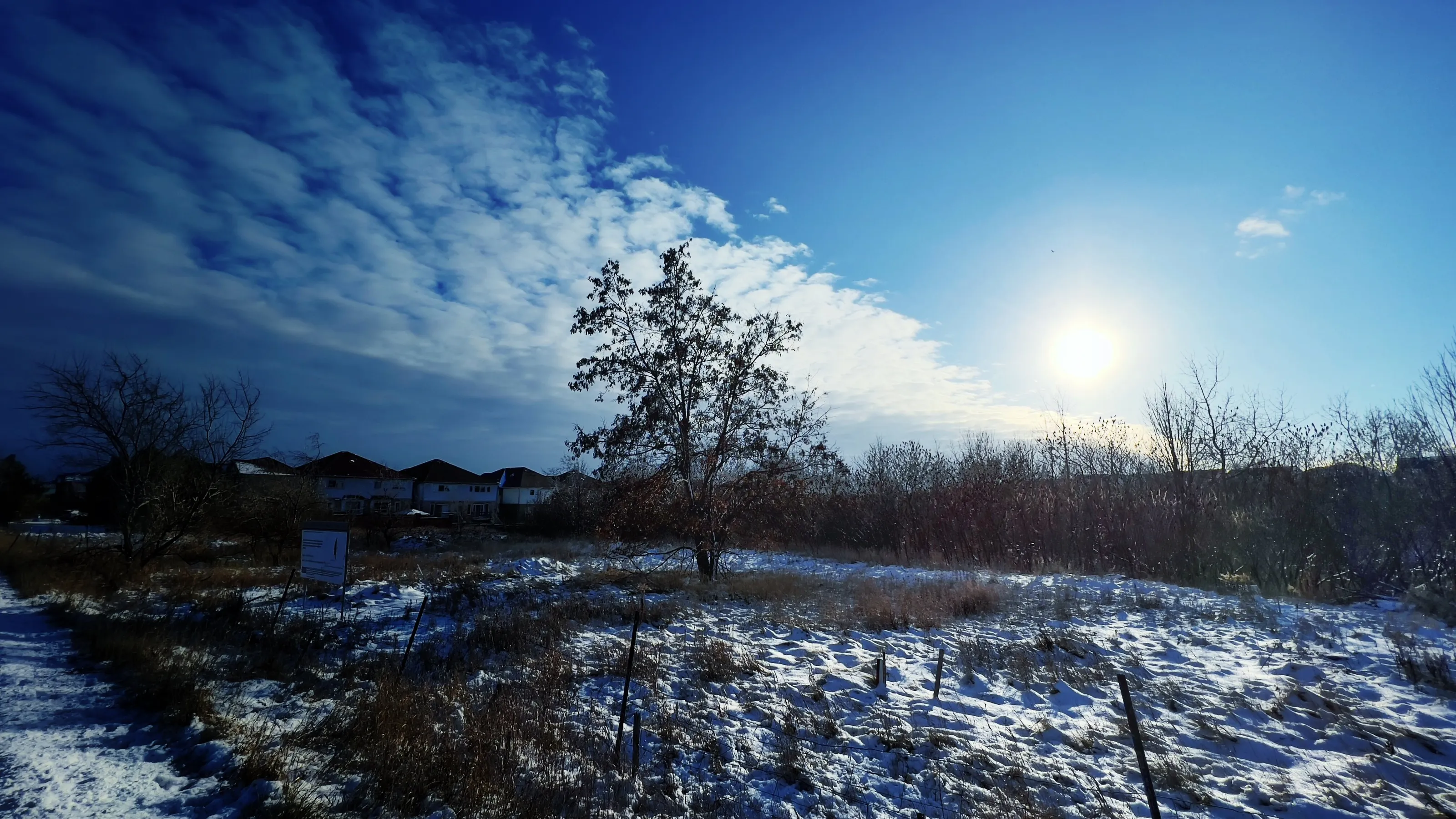 Winter Sky
